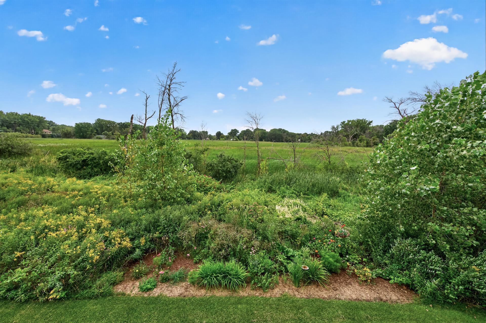 View of Residential at 4139 Isaac Court, Vadnais Heights MN 55127, Vadnais Heights (44 of 55) - Mike Wilen | Minnesota Team Real Estate