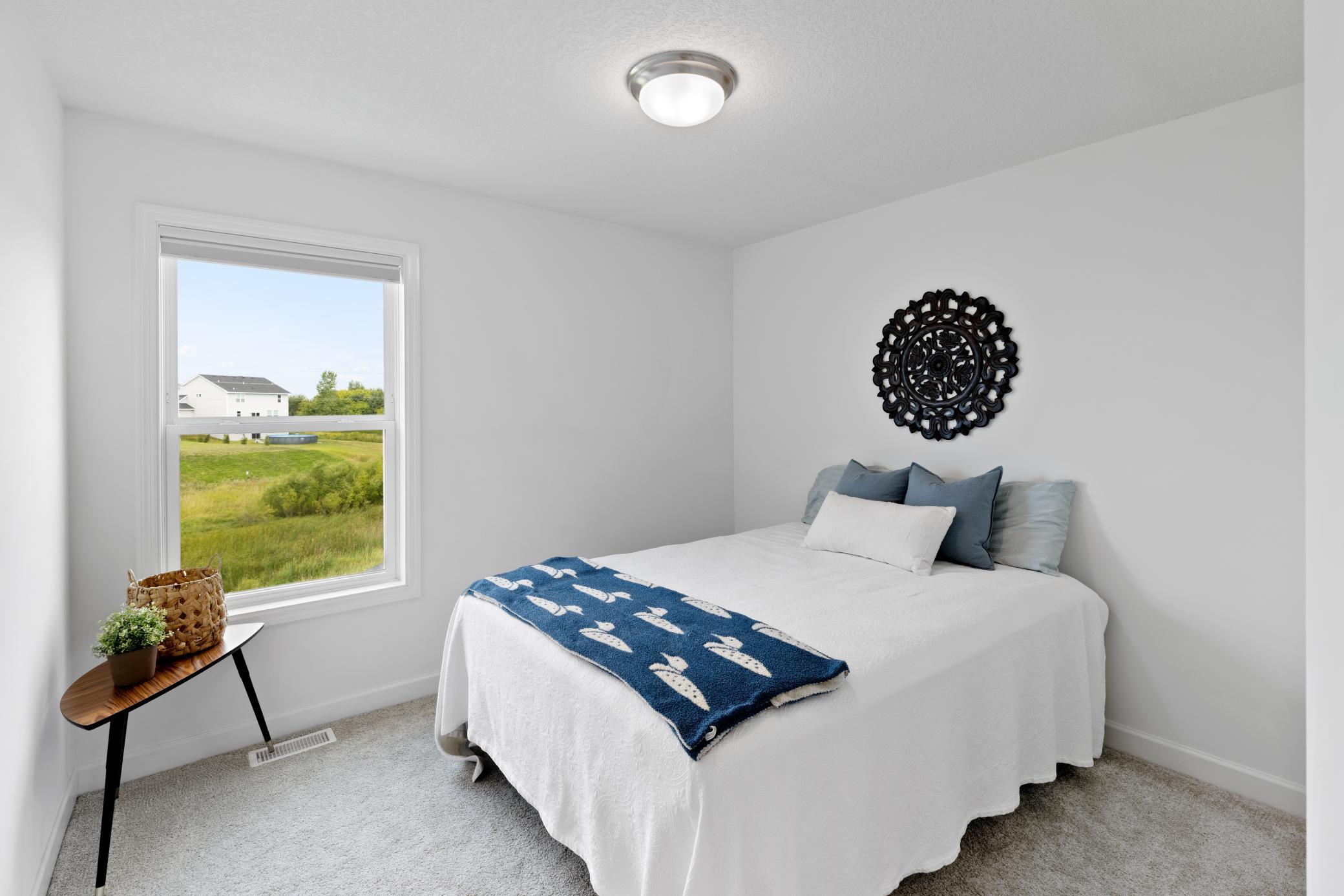 View of Residential at 235 4th Street, Delano MN 55328, Delano (33 of 58) - Mike Wilen | Minnesota Team Real Estate