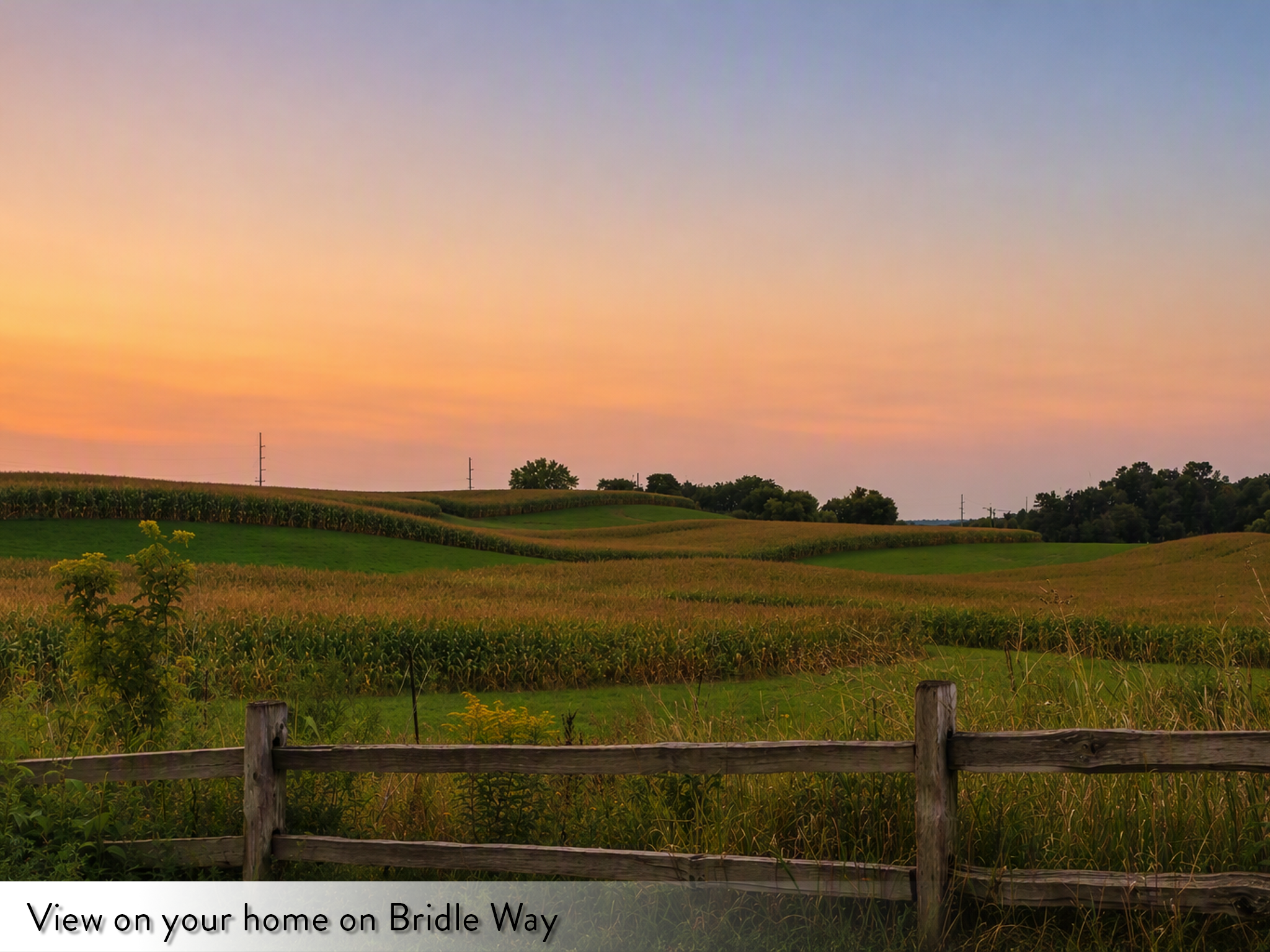 View of Residential at 9540 Bridle Way, Victoria MN 55386, Victoria (89 of 89) - Mike Wilen | Minnesota Team Real Estate