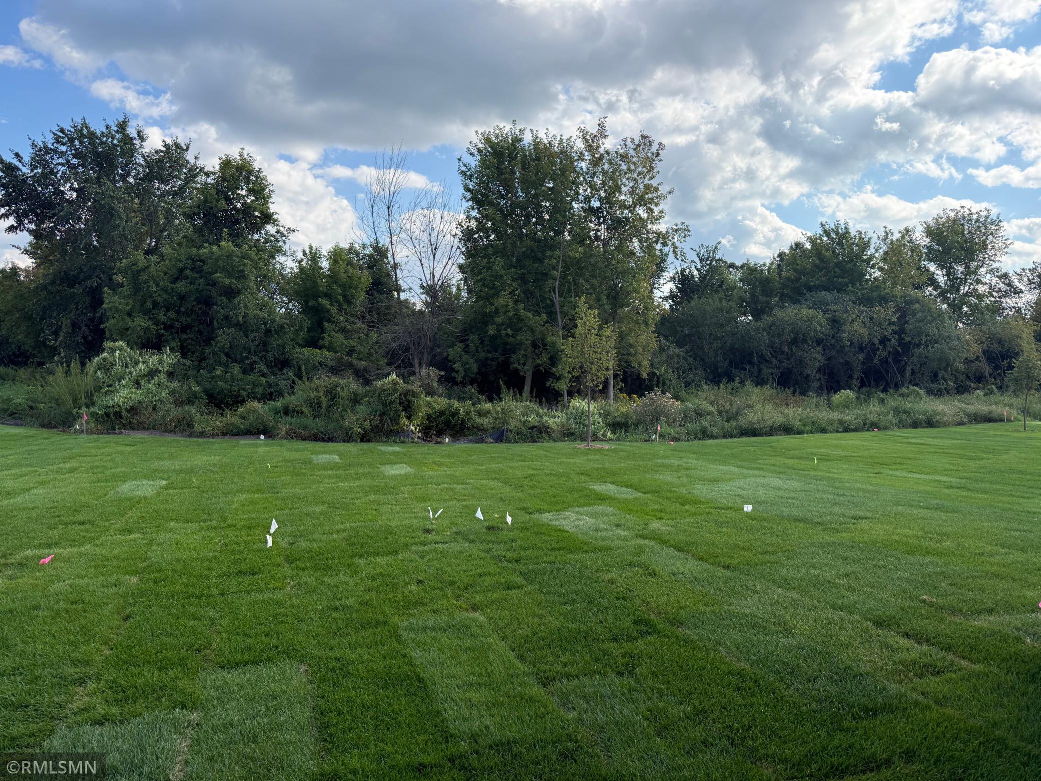 View of Residential at 1670 Meadows Drive, East Bethel MN 55011, East Bethel (12 of 96) - Mike Wilen | Minnesota Team Real Estate