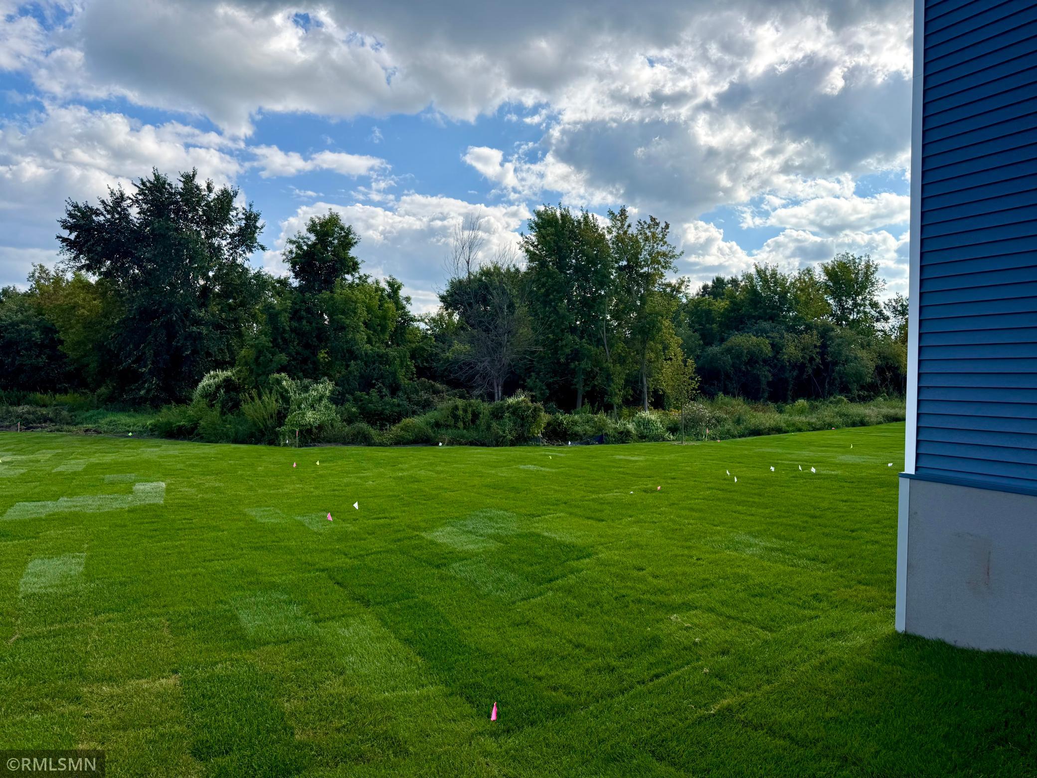 View of Residential at 1670 Meadows Drive, East Bethel MN 55011, East Bethel (5 of 96) - Mike Wilen | Minnesota Team Real Estate