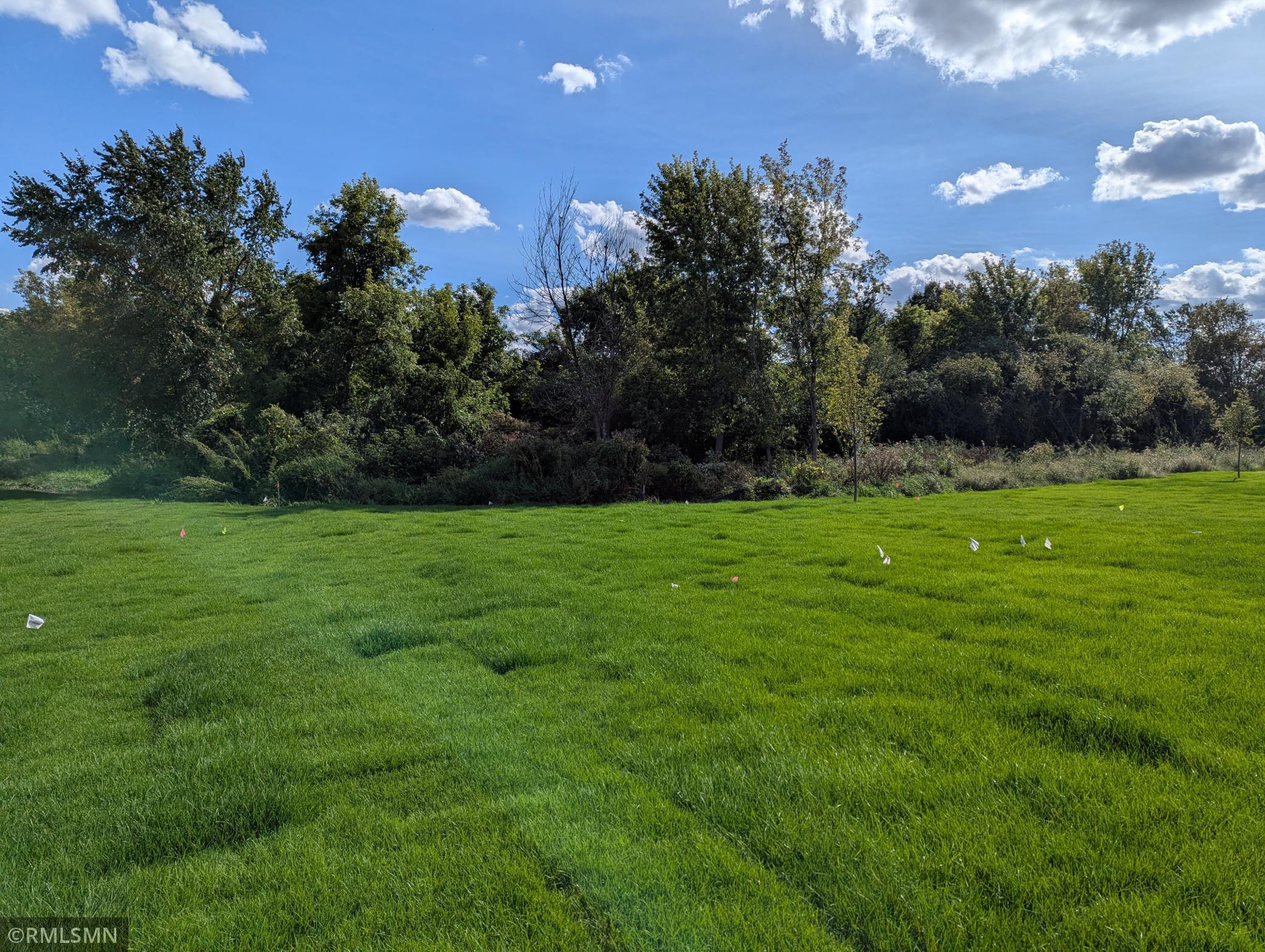 View of Residential at 1670 Meadows Drive, East Bethel MN 55011, East Bethel (7 of 96) - Mike Wilen | Minnesota Team Real Estate