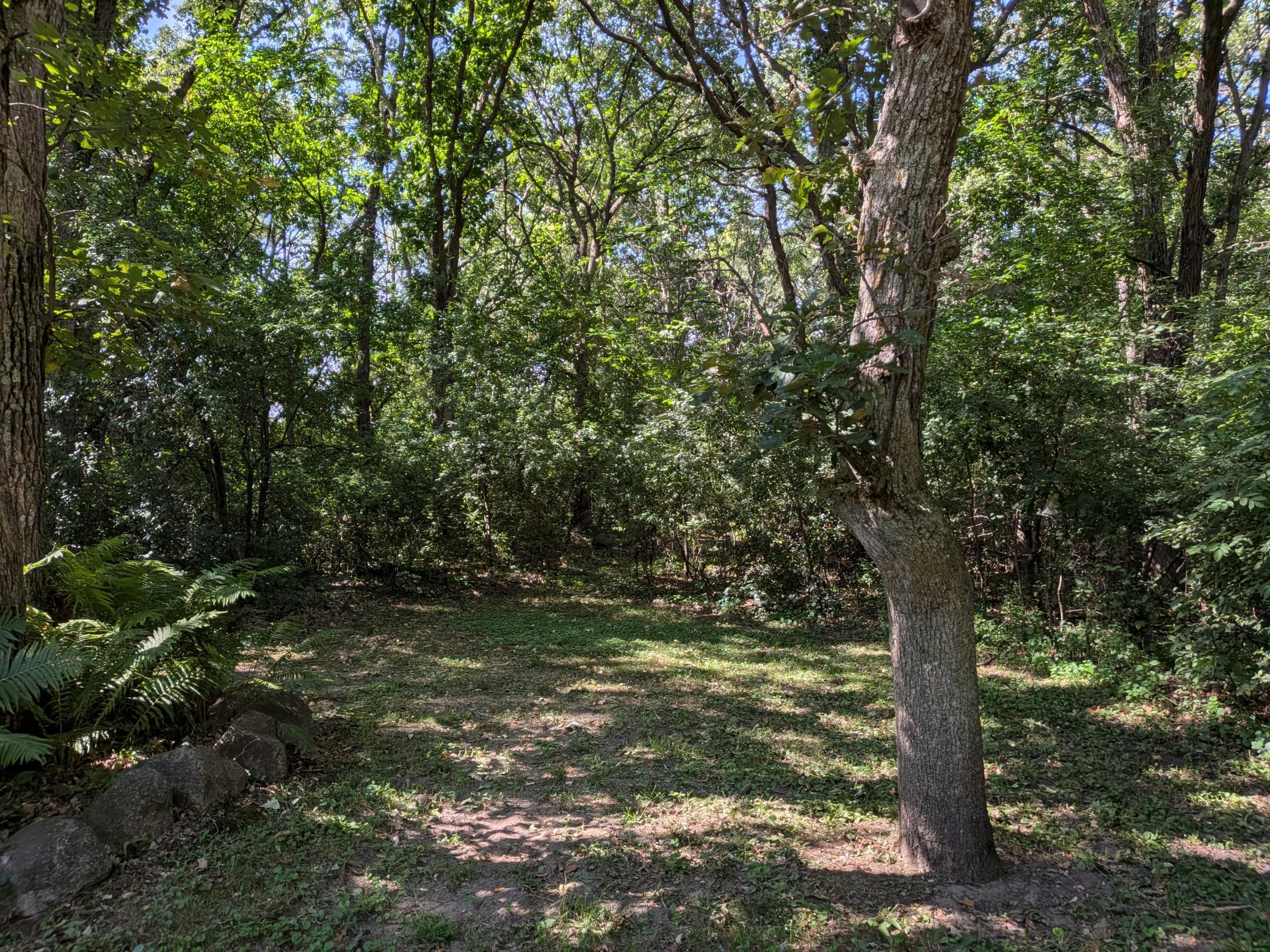 View of Residential at 23155 169th Street, Big Lake MN 55309, Big Lake (24 of 26) - Mike Wilen | Minnesota Team Real Estate