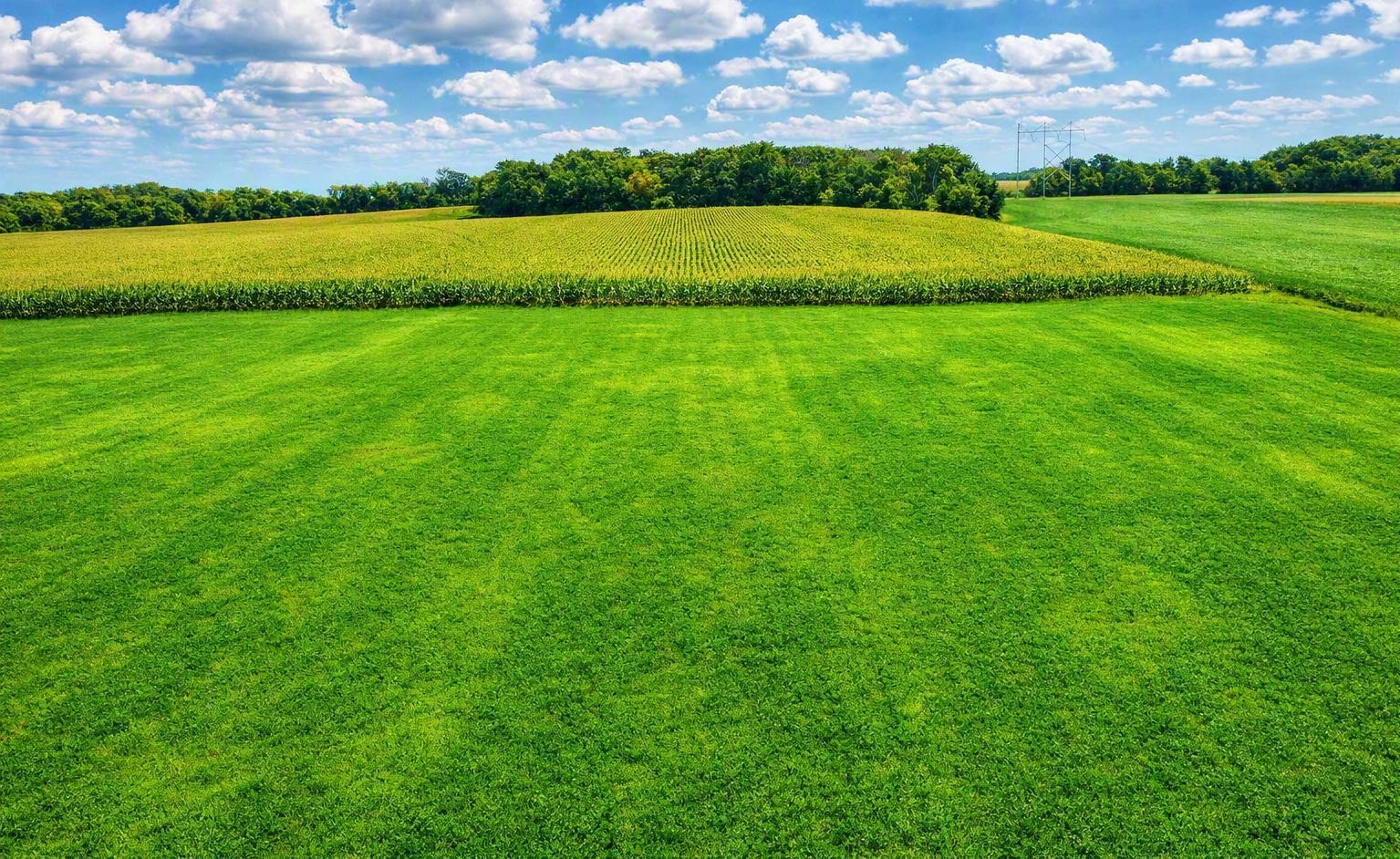 View of Land at TBD Nicolai Avenue, Hastings MN 55033, Hastings - Mike Wilen | Minnesota Team Real Estate