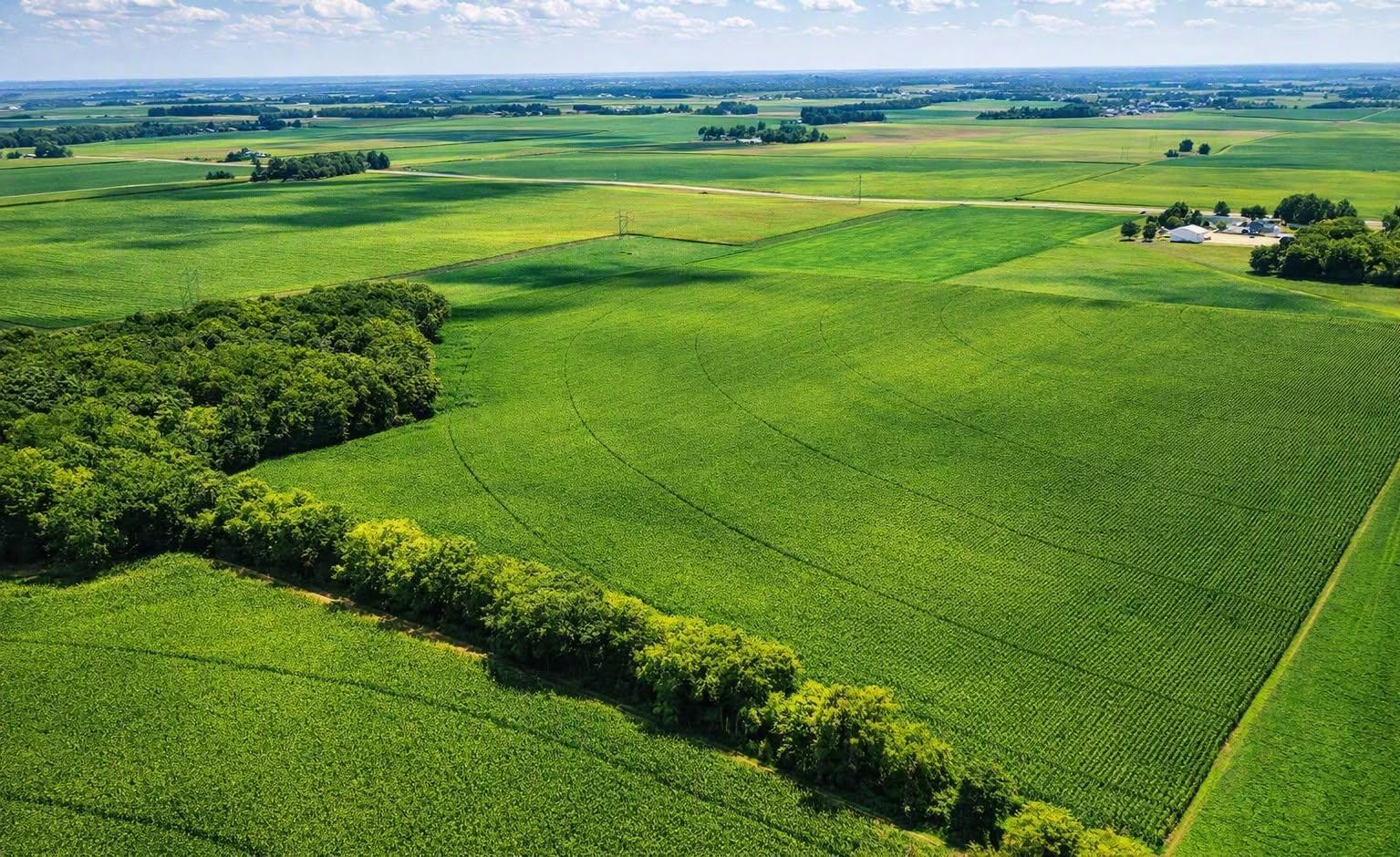 View of Land at TBD Nicolai Avenue, Hastings MN 55033, Hastings (2 of 4) - Mike Wilen | Minnesota Team Real Estate