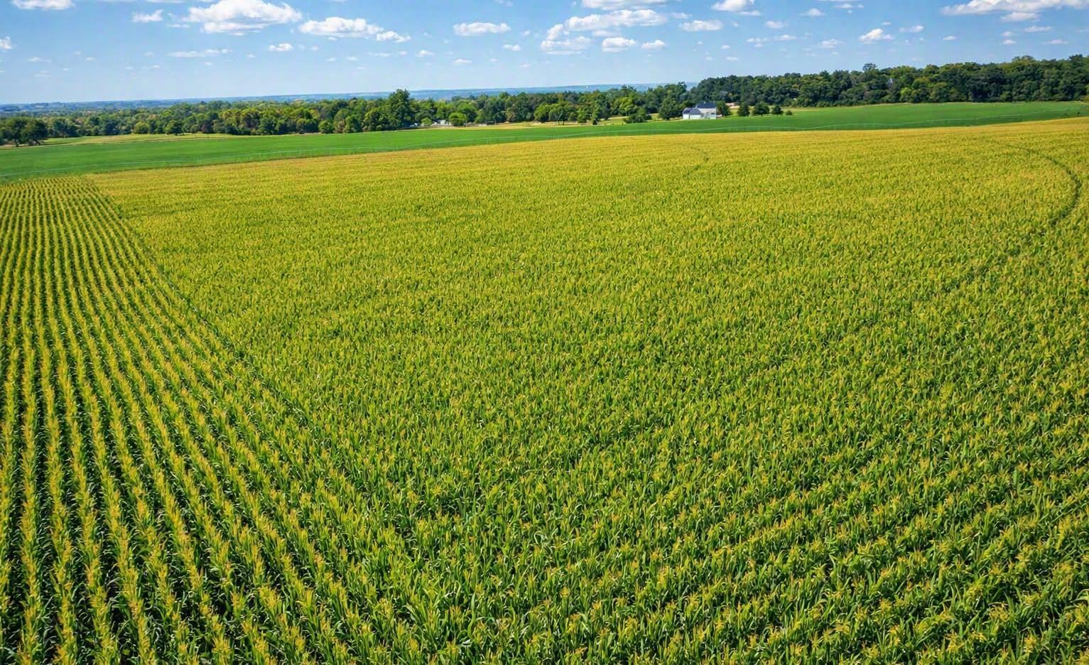 View of Land at TBD Nicolai Avenue, Hastings MN 55033, Hastings (3 of 4) - Mike Wilen | Minnesota Team Real Estate