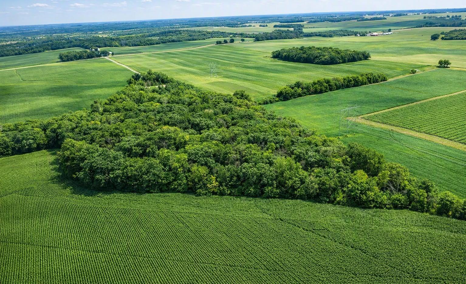 View of Land at TBD Nicolai Avenue, Hastings MN 55033, Hastings (4 of 4) - Mike Wilen | Minnesota Team Real Estate