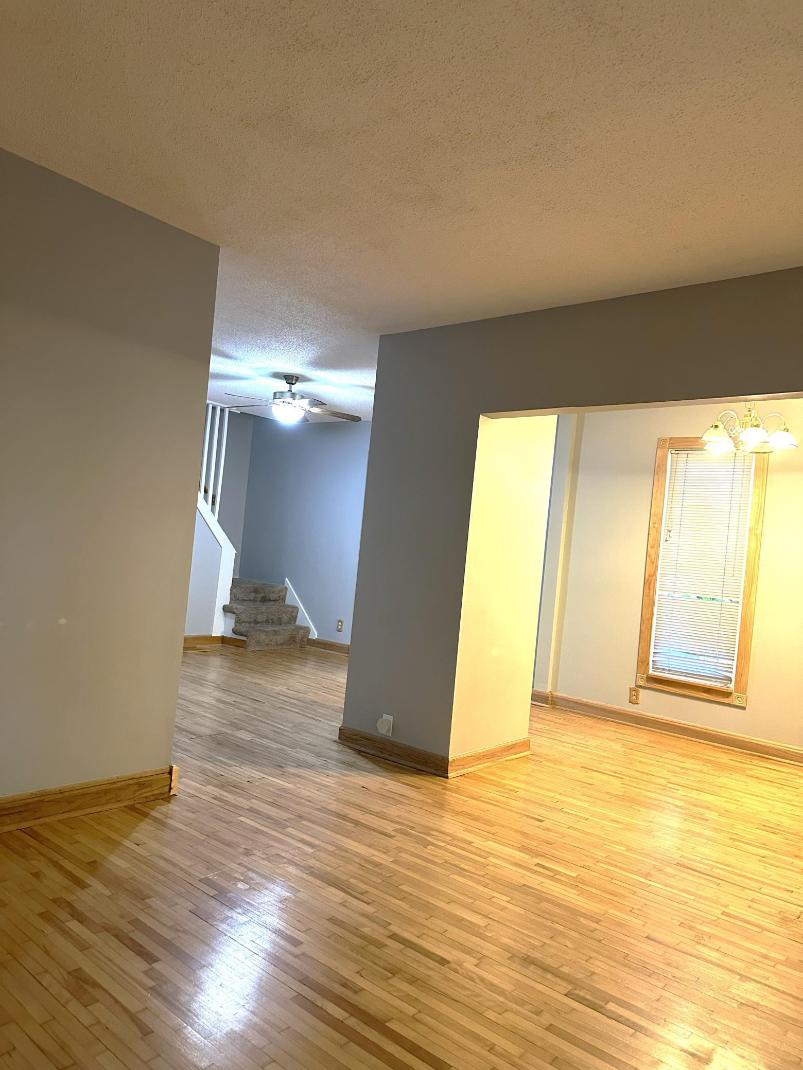 View of Residential at 823 Juno Avenue, Saint Paul MN 55102, Saint Paul (8 of 21) - Mike Wilen | Minnesota Team Real Estate