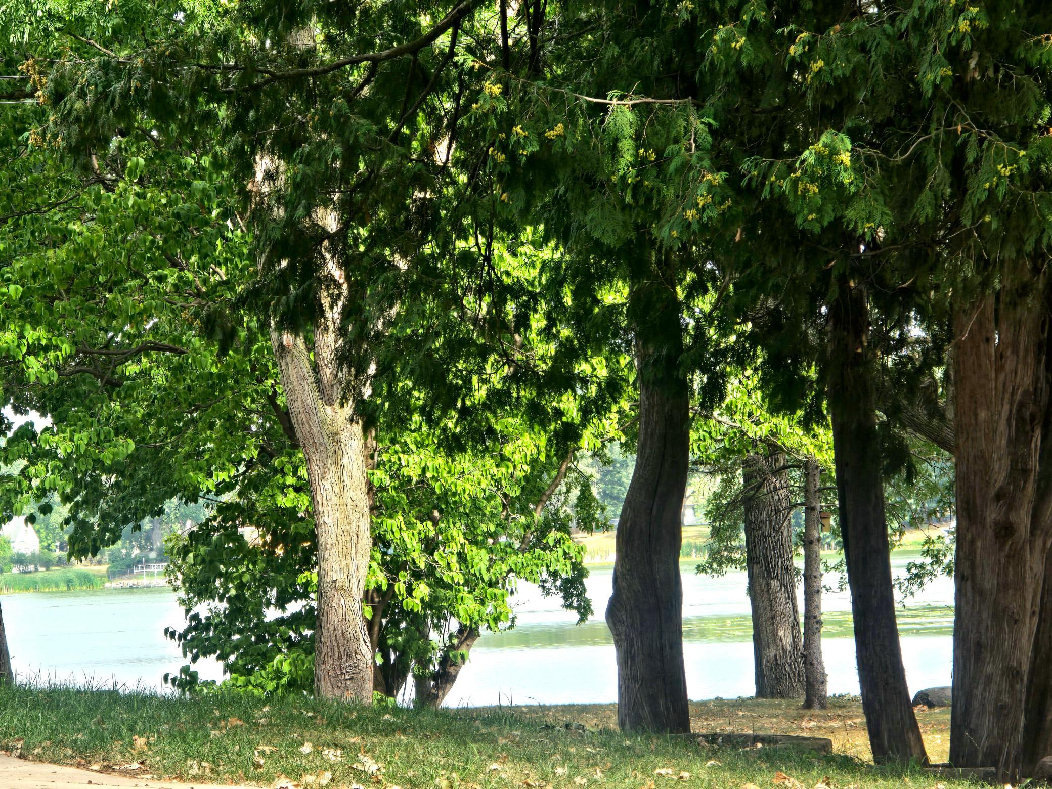 View of Residential at 5330 Perry Avenue, Crystal MN 55429, Crystal (55 of 61) - Mike Wilen | Minnesota Team Real Estate