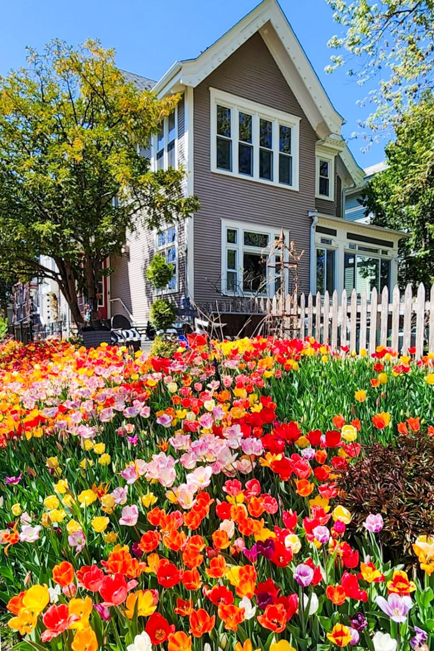 View of Residential at 2500 Humboldt Avenue, Minneapolis MN 55405, Minneapolis (49 of 55) - Mike Wilen | Minnesota Team Real Estate