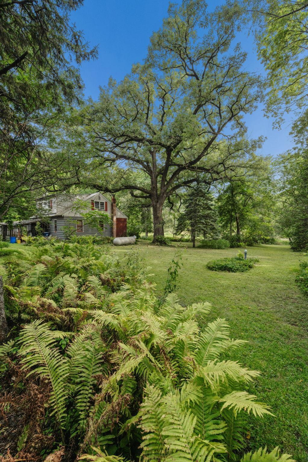 View of Land at 26750 Smithtown, Excelsior MN 55331, Excelsior (27 of 38) - Mike Wilen | Minnesota Team Real Estate
