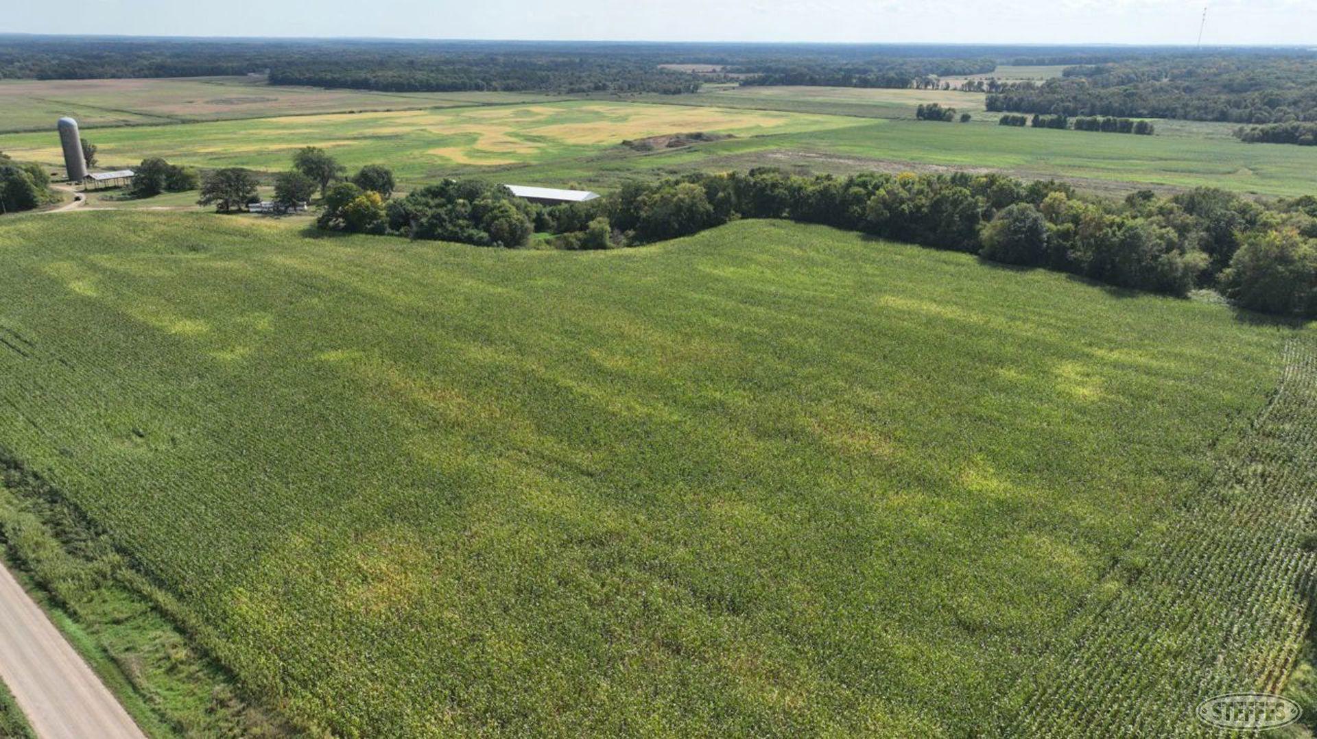 View of Land at XXXX 82nd Street, Becker MN 55308, Becker (30 of 40) - Mike Wilen | Minnesota Team Real Estate