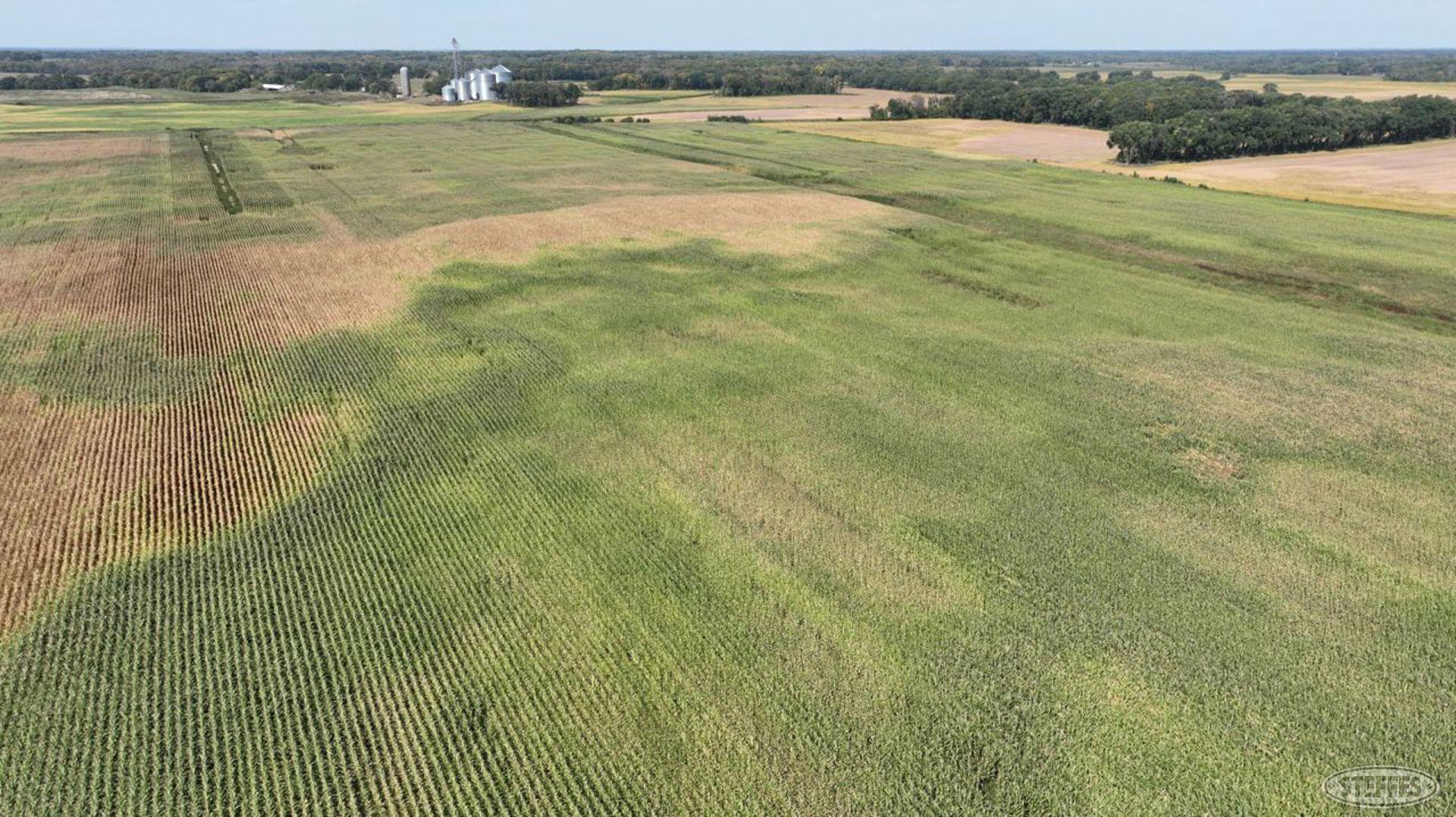 View of Land at XXXX 82nd Street, Becker MN 55308, Becker (29 of 40) - Mike Wilen | Minnesota Team Real Estate