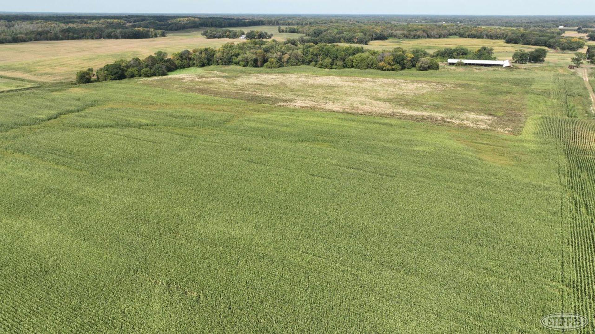 View of Land at XXXX 82nd Street, Becker MN 55308, Becker (24 of 40) - Mike Wilen | Minnesota Team Real Estate