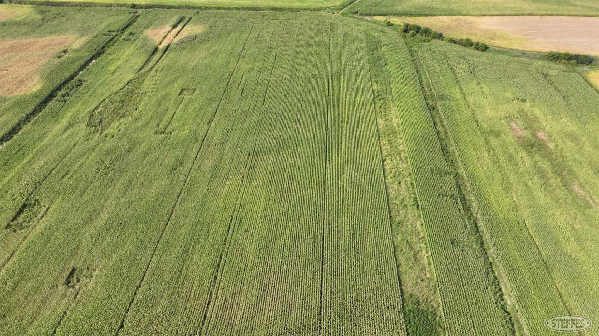 View of Land at XXXX 82nd Street, Becker MN 55308, Becker (16 of 40) - Mike Wilen | Minnesota Team Real Estate