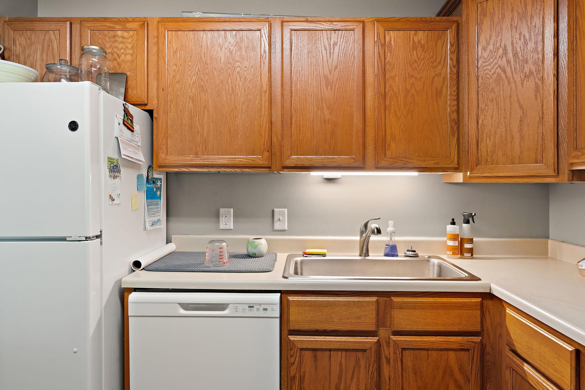 View of Residential at 16 13th Street, Waconia MN 55387, Waconia (9 of 17) - Mike Wilen | Minnesota Team Real Estate