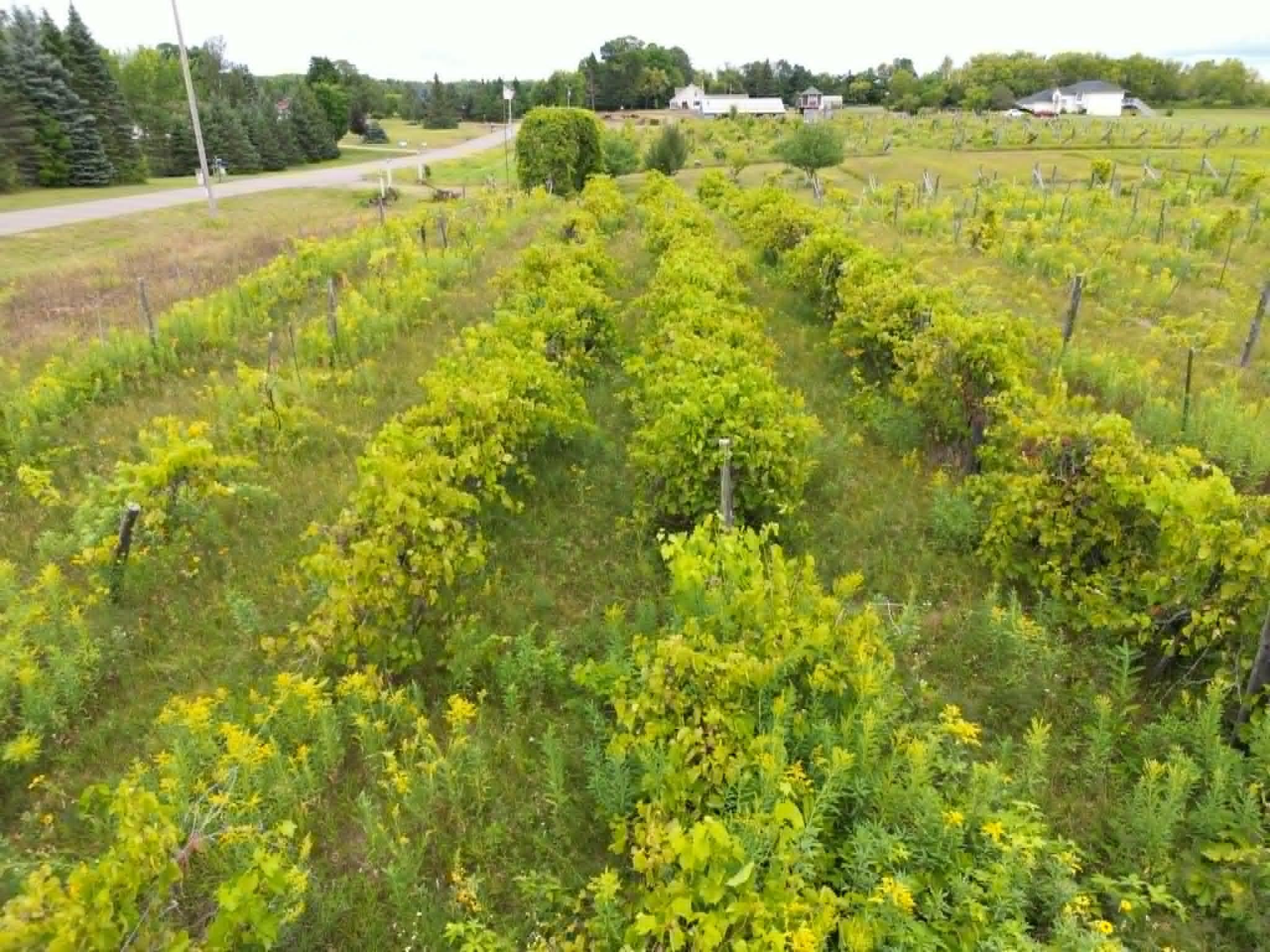 View of Land at 40306 Torchlight Road, Isle MN 56342, Isle (5 of 46) - Mike Wilen | Minnesota Team Real Estate
