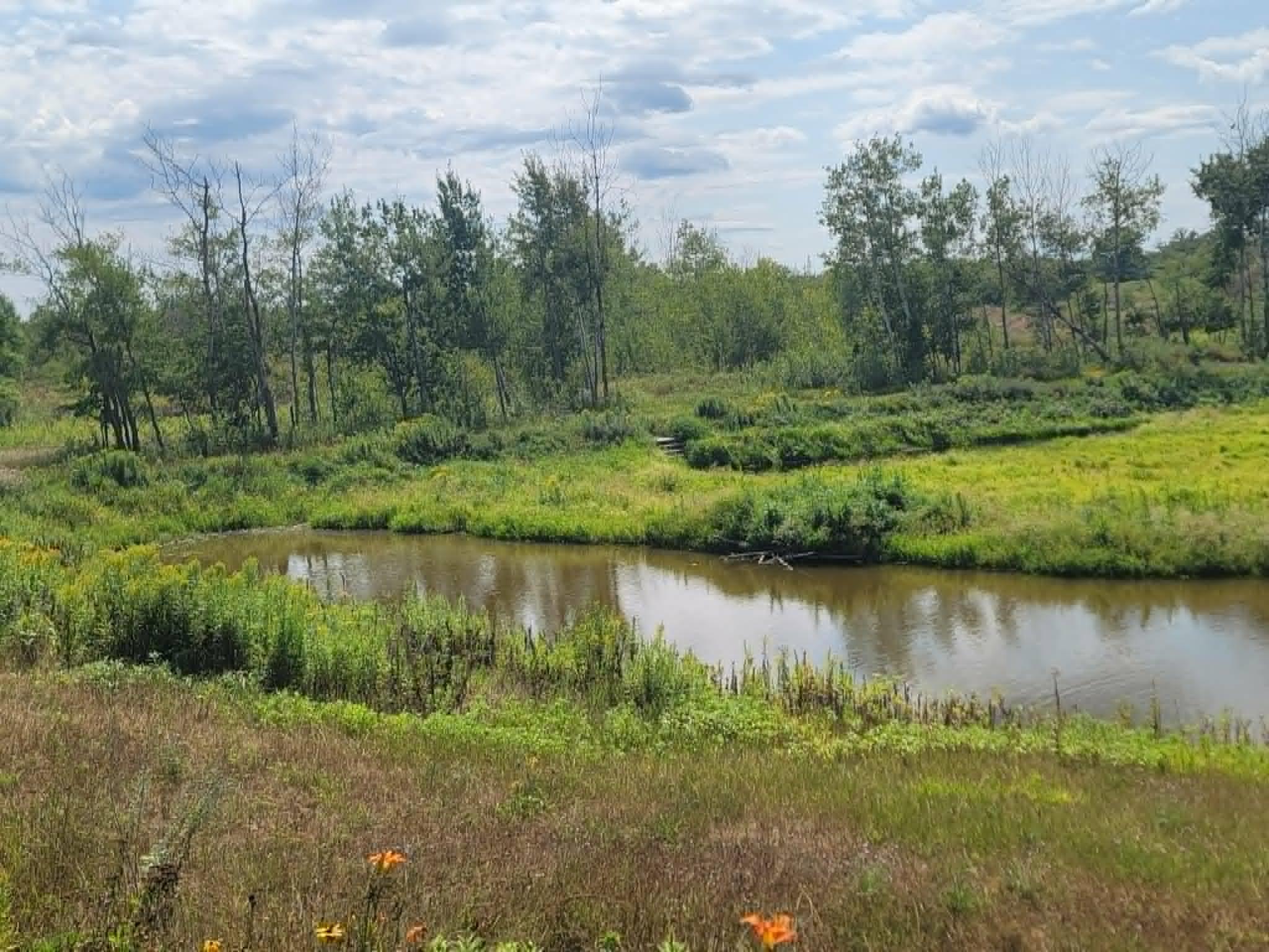 View of Land at 40306 Torchlight Road, Isle MN 56342, Isle (19 of 46) - Mike Wilen | Minnesota Team Real Estate