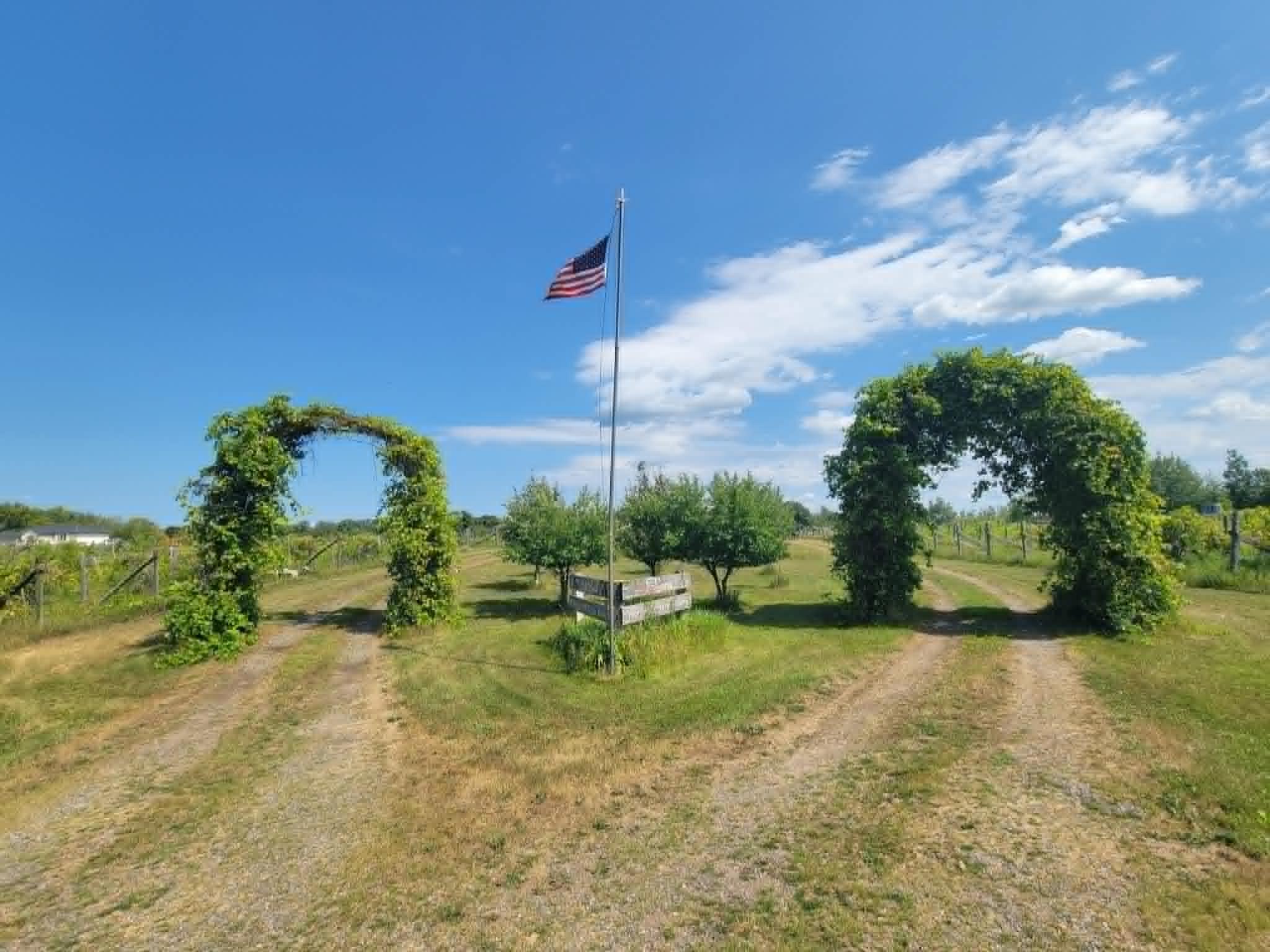 View of Land at 40306 Torchlight Road, Isle MN 56342, Isle (37 of 46) - Mike Wilen | Minnesota Team Real Estate