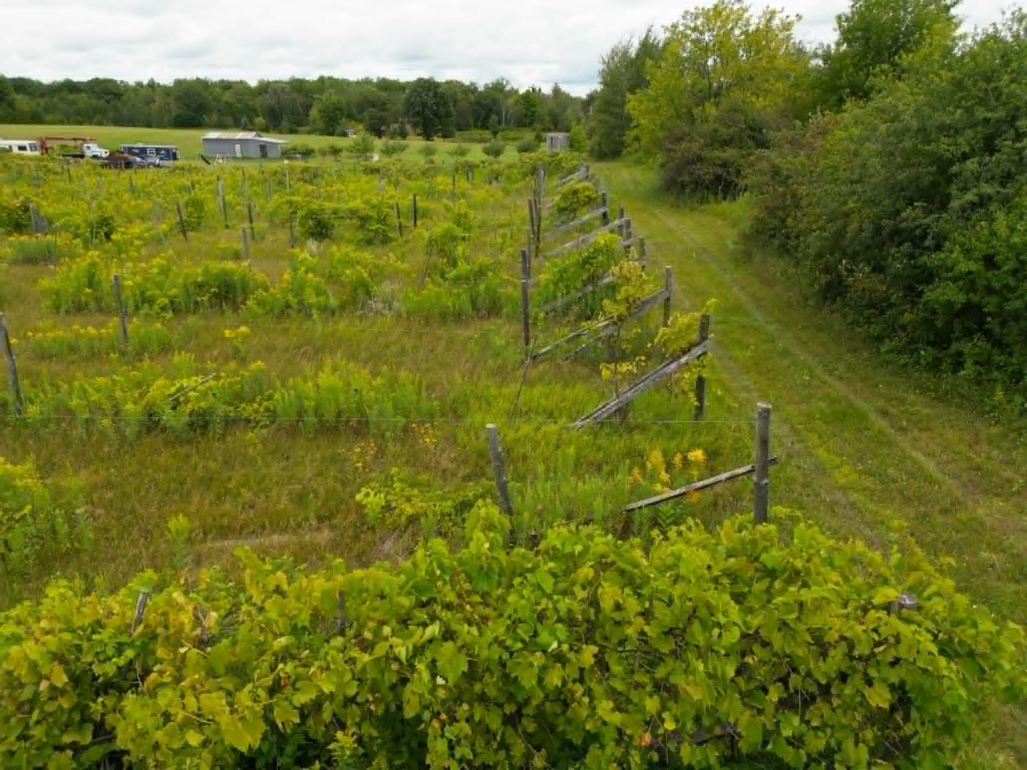 View of Land at 40306 Torchlight Road, Isle MN 56342, Isle (36 of 46) - Mike Wilen | Minnesota Team Real Estate