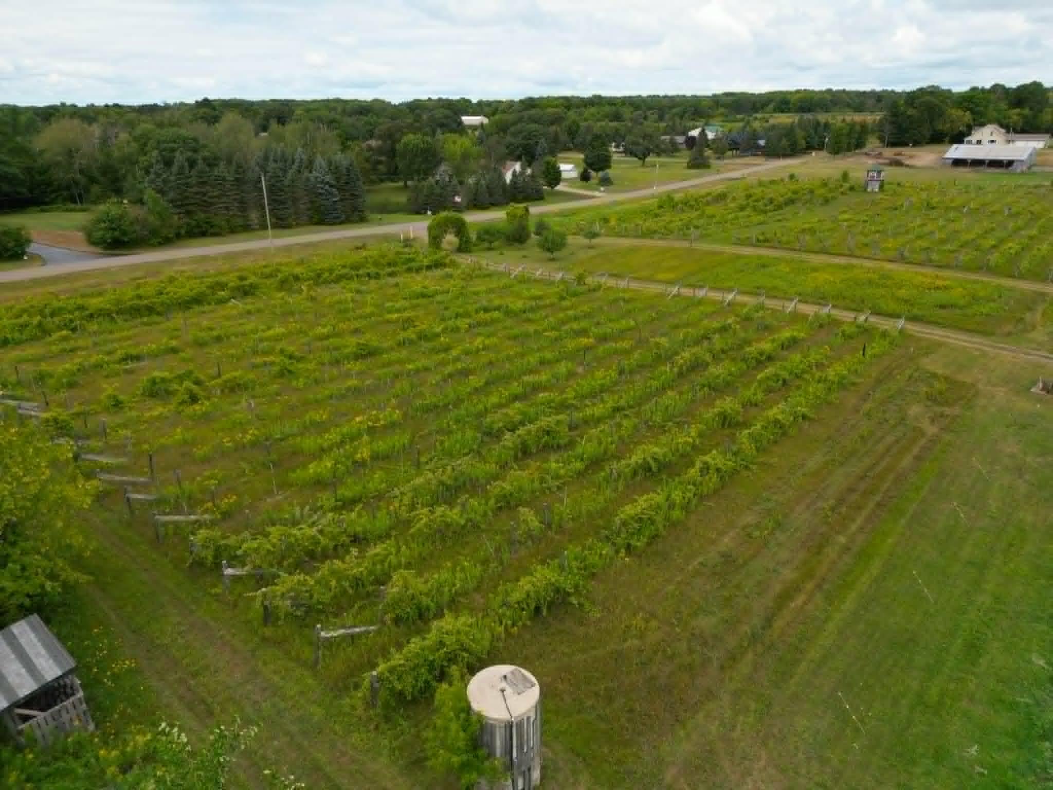 View of Land at 40306 Torchlight Road, Isle MN 56342, Isle (29 of 46) - Mike Wilen | Minnesota Team Real Estate