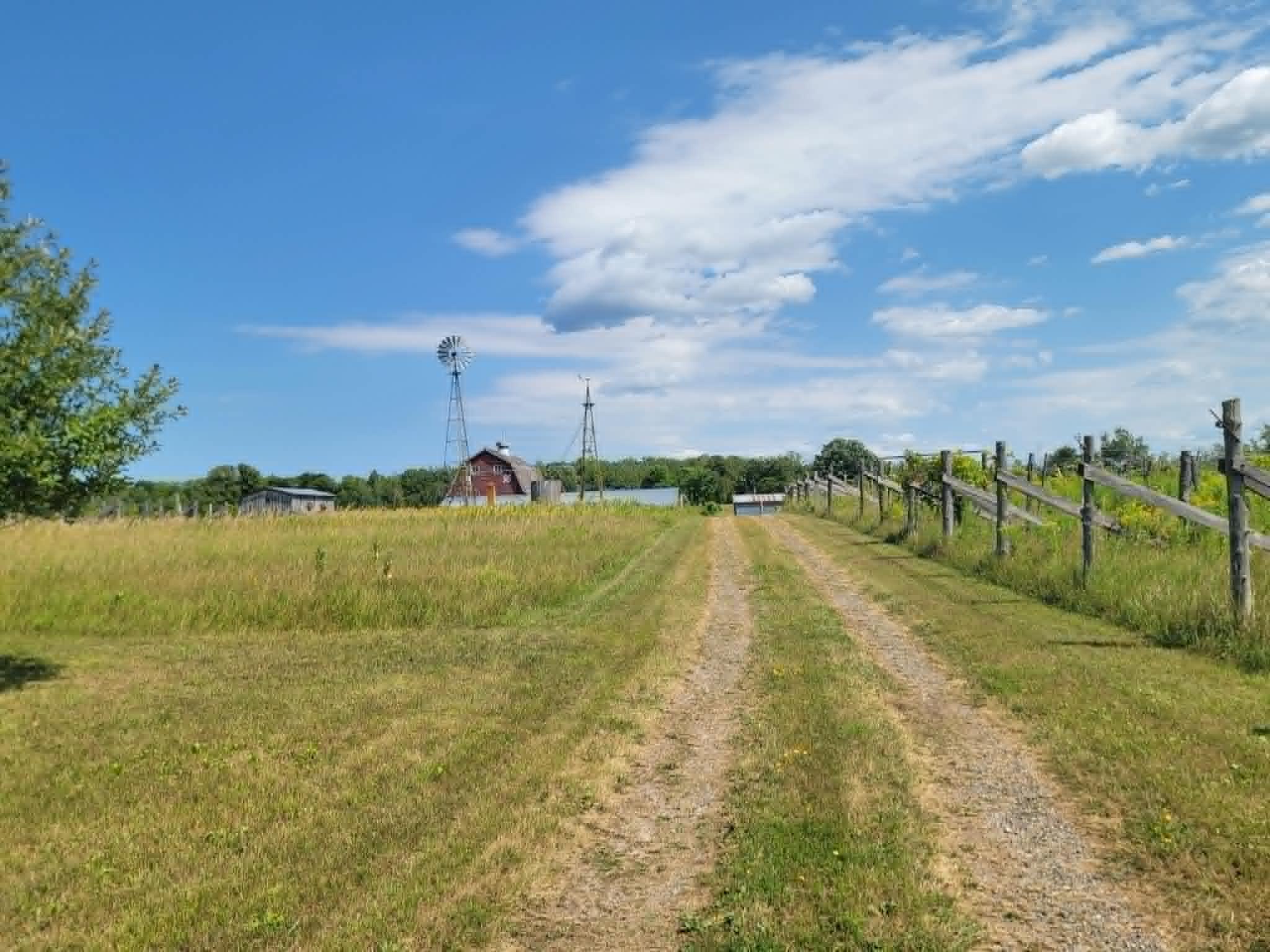 View of Land at 40306 Torchlight Road, Isle MN 56342, Isle (24 of 46) - Mike Wilen | Minnesota Team Real Estate