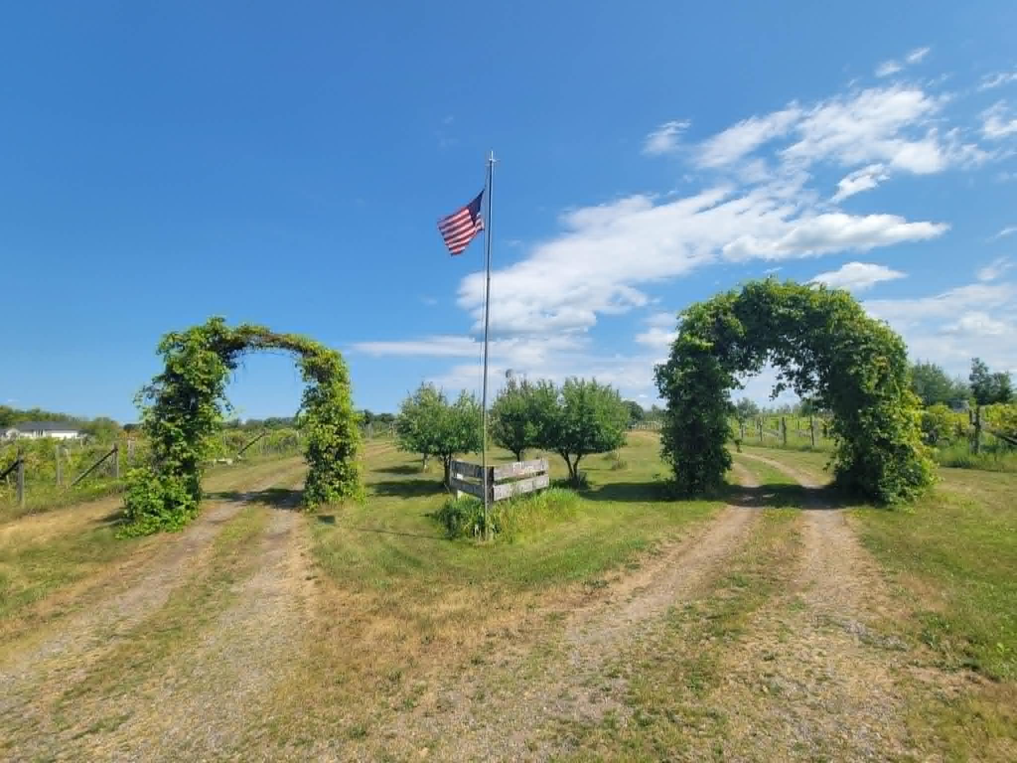 View of Land at 40306 Torchlight Road, Isle MN 56342, Isle (4 of 46) - Mike Wilen | Minnesota Team Real Estate