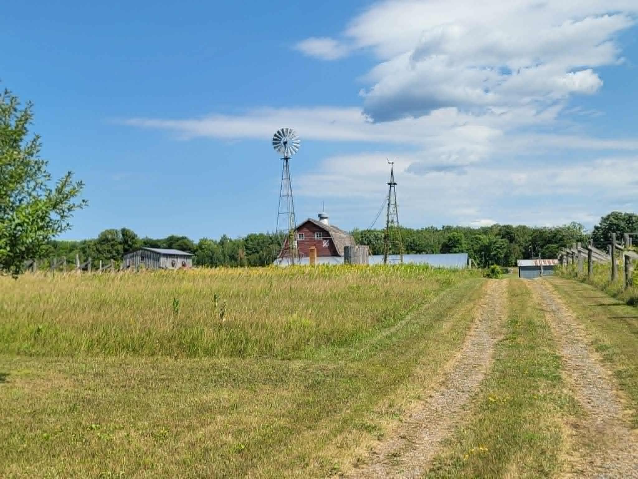 View of Land at 40306 Torchlight Road, Isle MN 56342, Isle (8 of 46) - Mike Wilen | Minnesota Team Real Estate