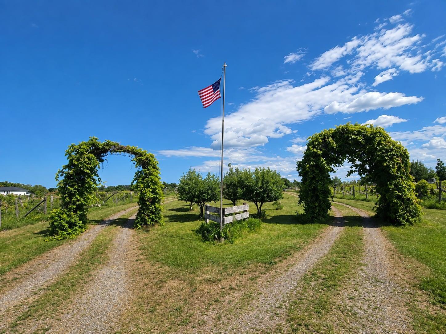 View of Land at 40306 Torchlight Road, Isle MN 56342, Isle (3 of 46) - Mike Wilen | Minnesota Team Real Estate
