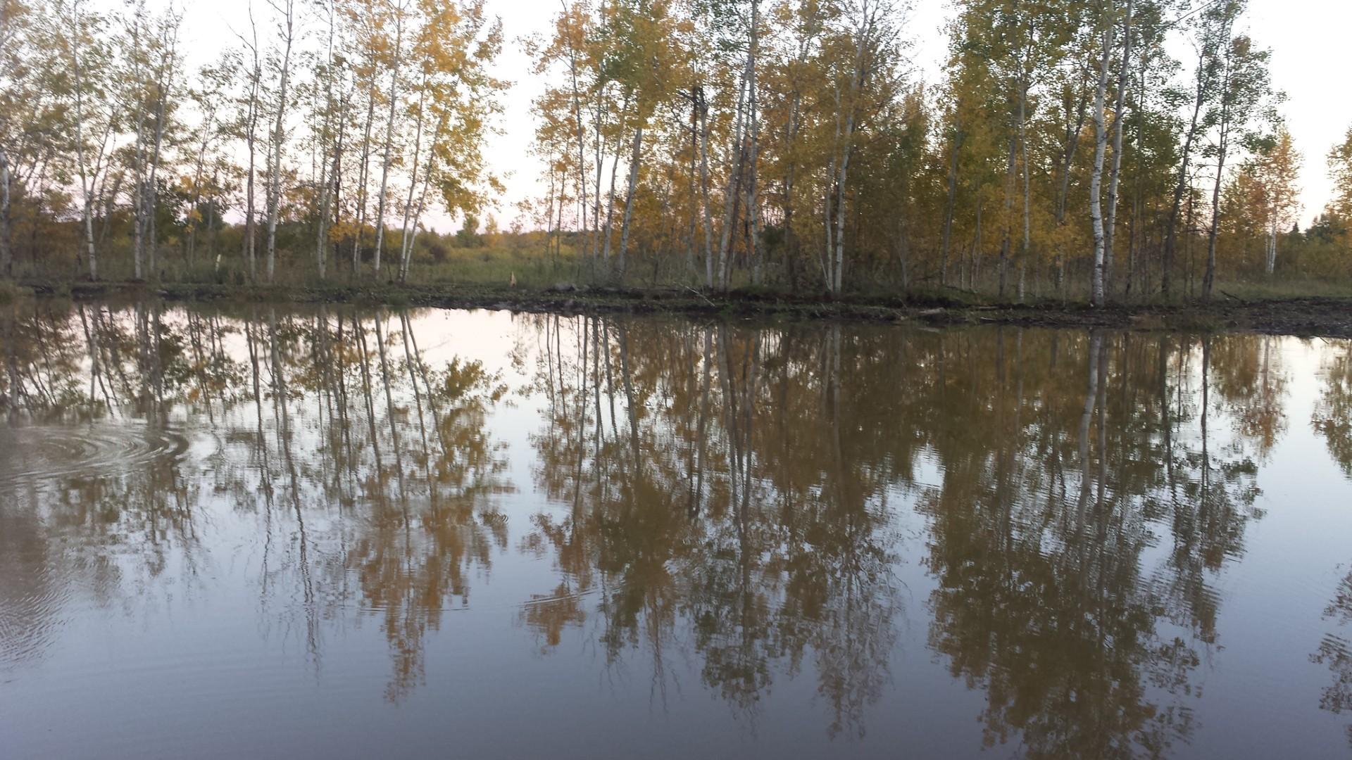 View of Land at 40306 Torchlight Road, Isle MN 56342, Isle (45 of 45) - Mike Wilen | Minnesota Team Real Estate