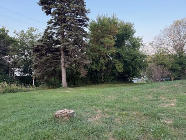 View of Land at 1175 County Road 19, Minnetrista MN 55364, Minnetrista (16 of 20) - Mike Wilen | Minnesota Team Real Estate