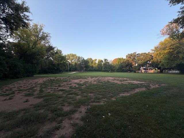 View of Land at 1175 County Road 19, Minnetrista MN 55364, Minnetrista (12 of 20) - Mike Wilen | Minnesota Team Real Estate