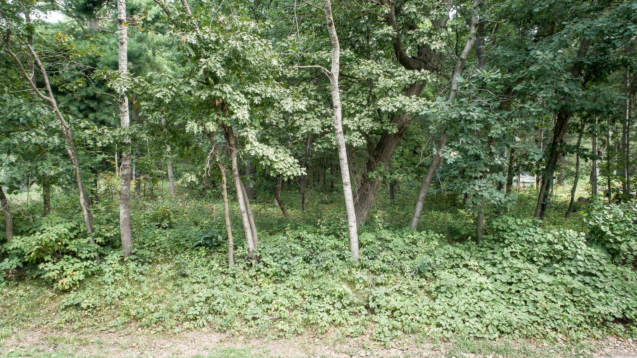 View of Land at TBD 241st Avenue, Stacy MN 55079, Stacy (19 of 28) - Mike Wilen | Minnesota Team Real Estate