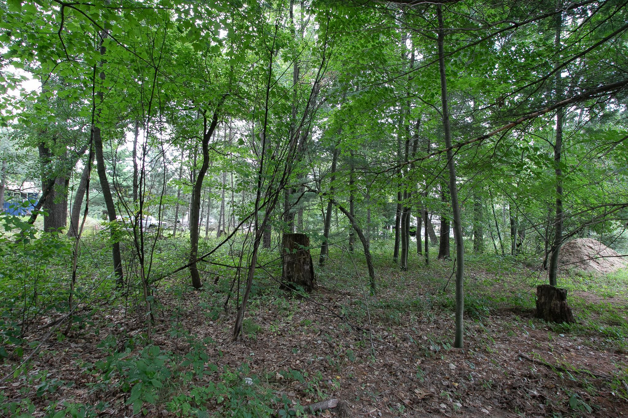 View of Land at TBD 241st Avenue, Stacy MN 55079, Stacy (6 of 28) - Mike Wilen | Minnesota Team Real Estate