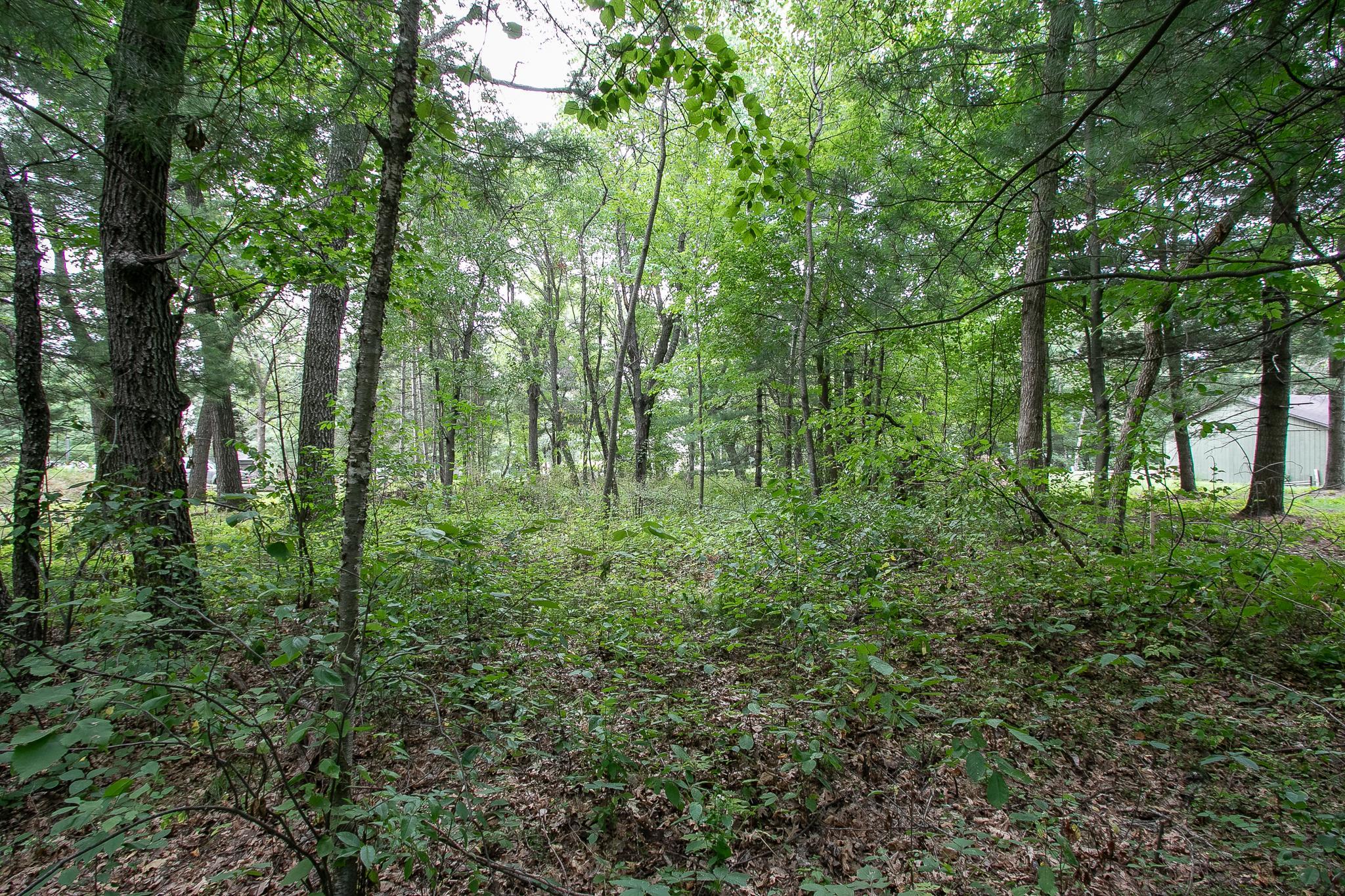 View of Land at TBD 241st Avenue, Stacy MN 55079, Stacy (5 of 28) - Mike Wilen | Minnesota Team Real Estate