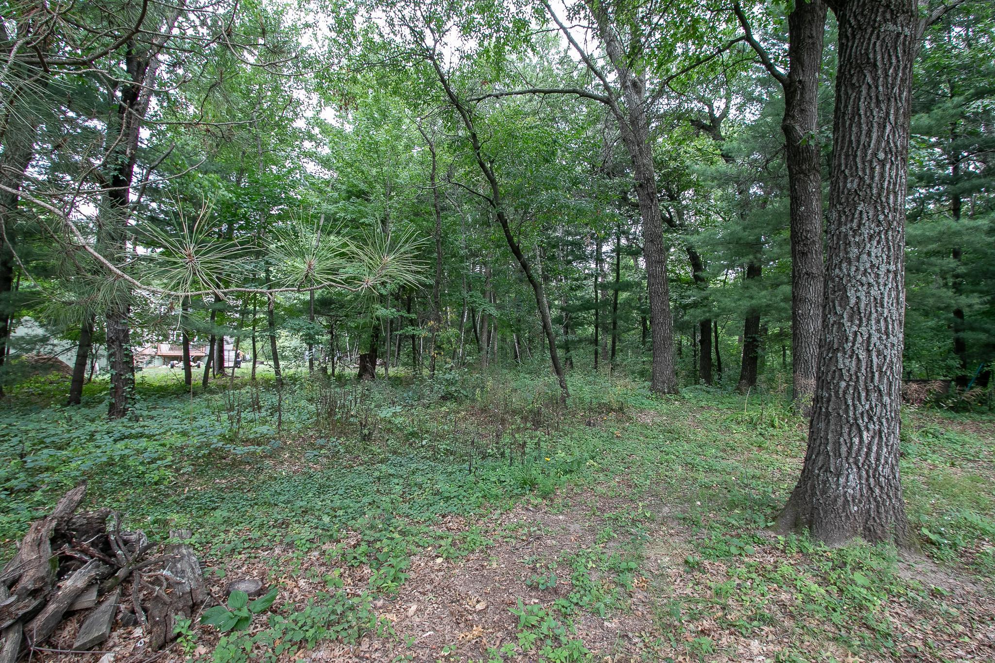 View of Land at TBD 241st Avenue, Stacy MN 55079, Stacy (4 of 28) - Mike Wilen | Minnesota Team Real Estate