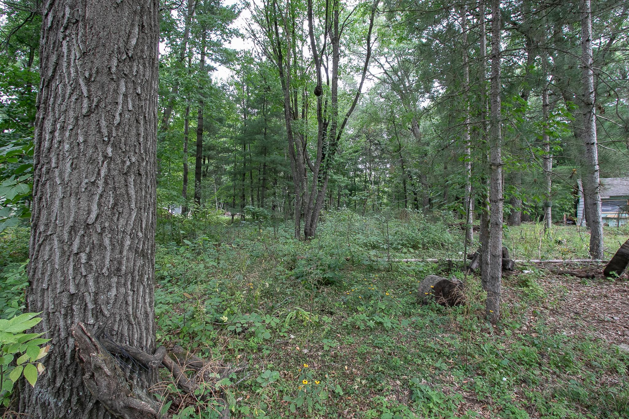 View of Land at TBD 241st Avenue, Stacy MN 55079, Stacy (3 of 28) - Mike Wilen | Minnesota Team Real Estate