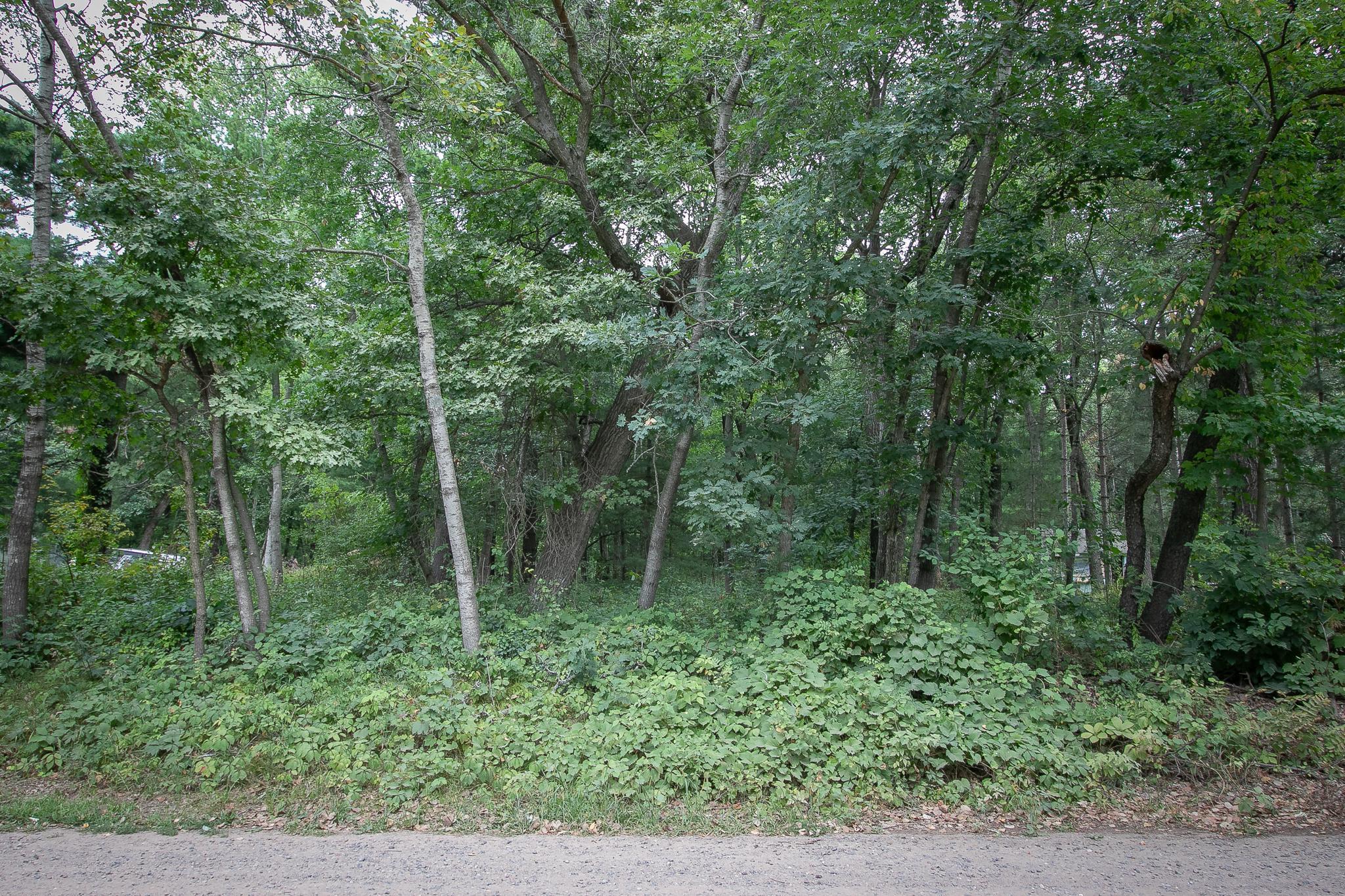 View of Land at TBD 241st Avenue, Stacy MN 55079, Stacy (2 of 28) - Mike Wilen | Minnesota Team Real Estate