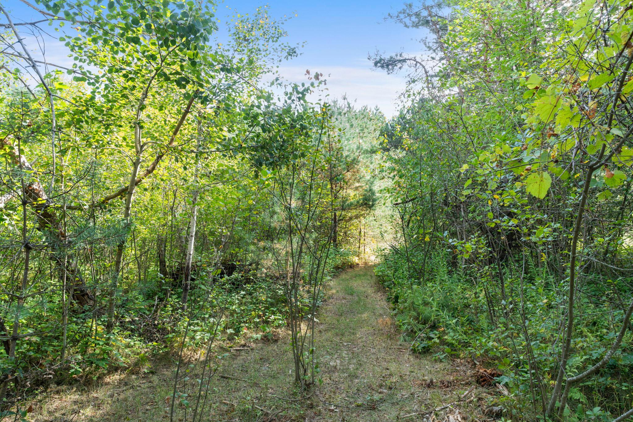 View of Residential at 4989 355th Street, North Branch MN 55056, North Branch (68 of 86) - Mike Wilen | Minnesota Team Real Estate