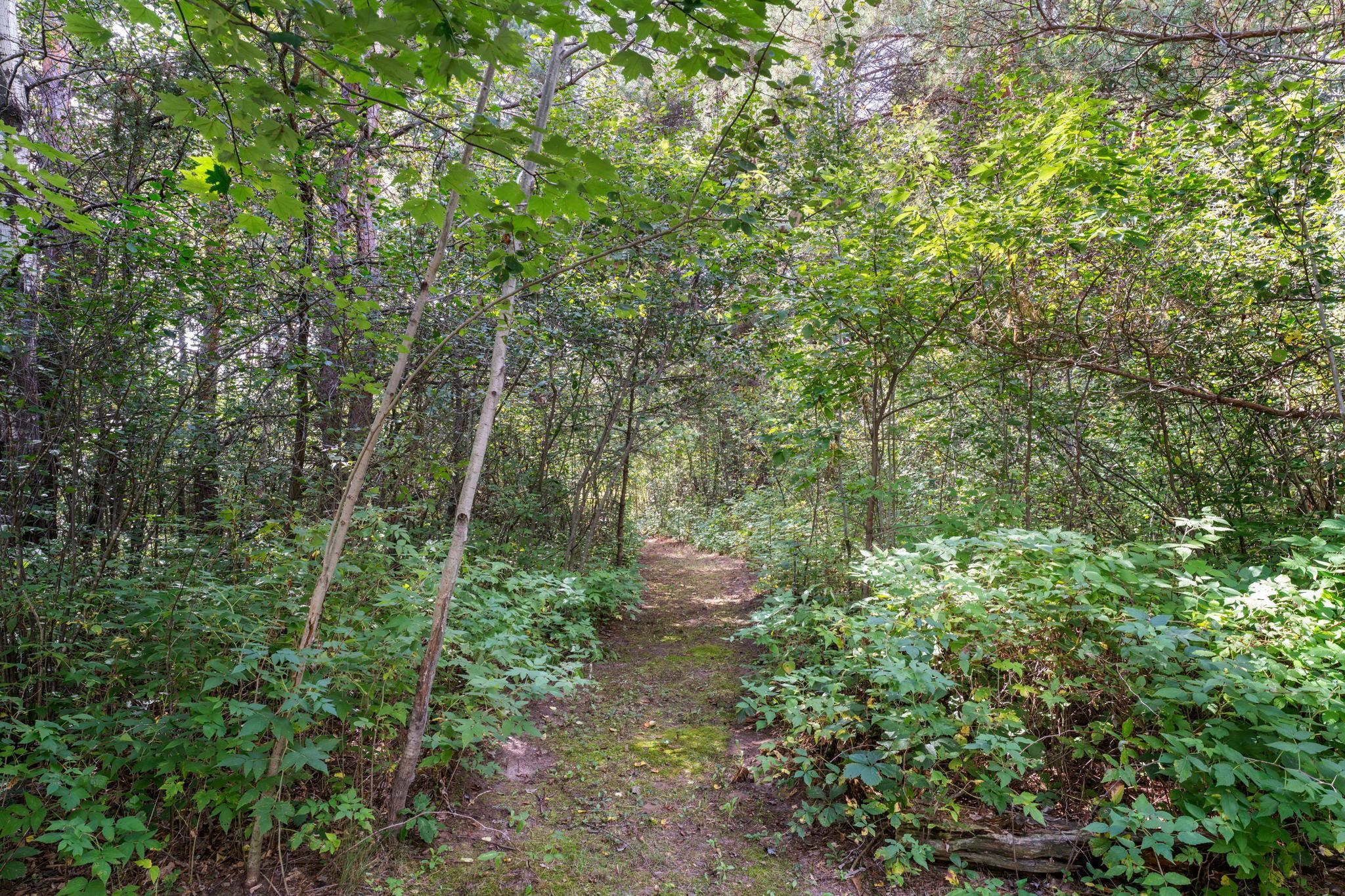 View of Residential at 4989 355th Street, North Branch MN 55056, North Branch (65 of 86) - Mike Wilen | Minnesota Team Real Estate