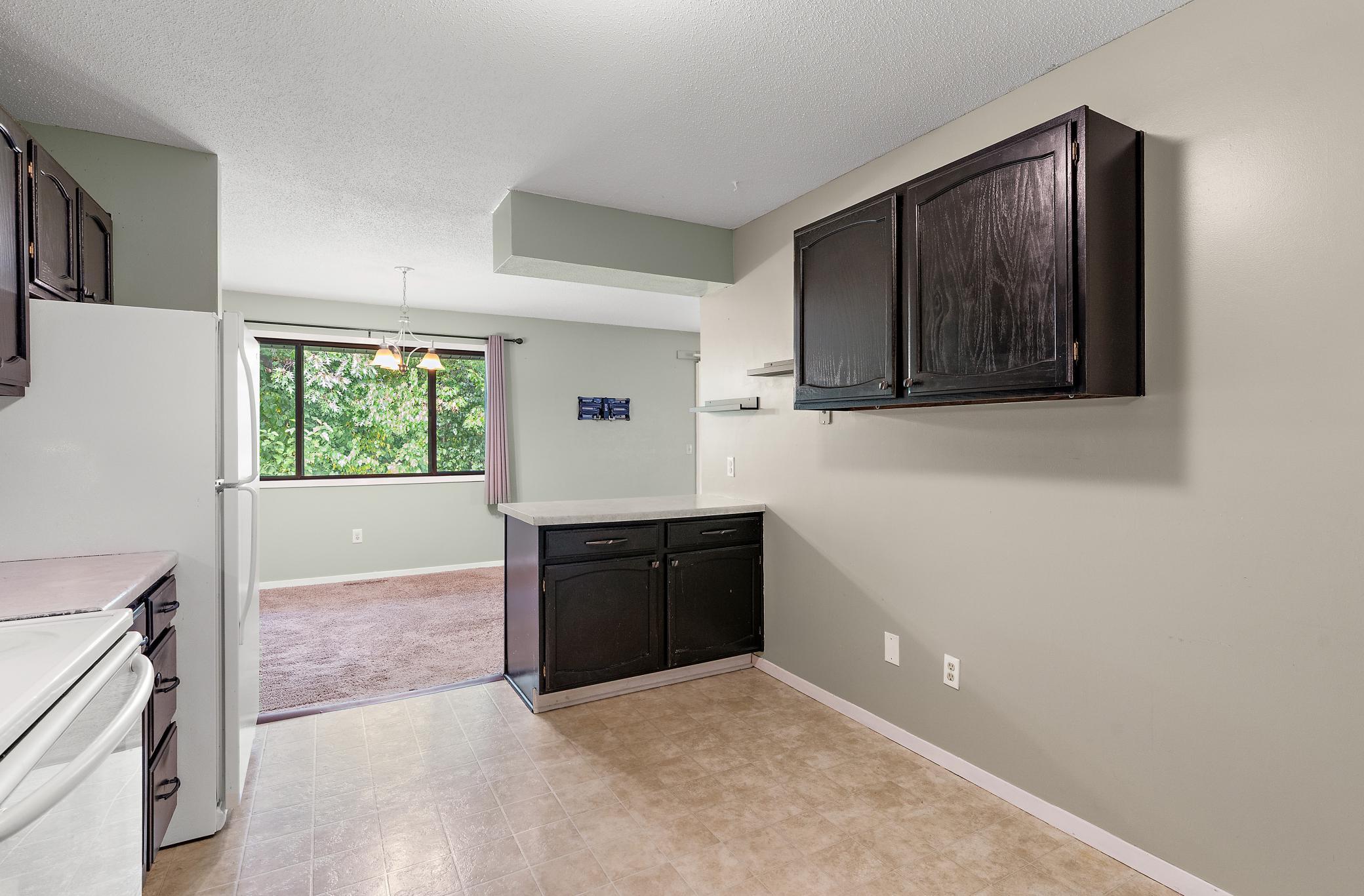View of Residential at 408 Pleasant Drive, Hastings MN 55033, Hastings (12 of 28) - Mike Wilen | Minnesota Team Real Estate