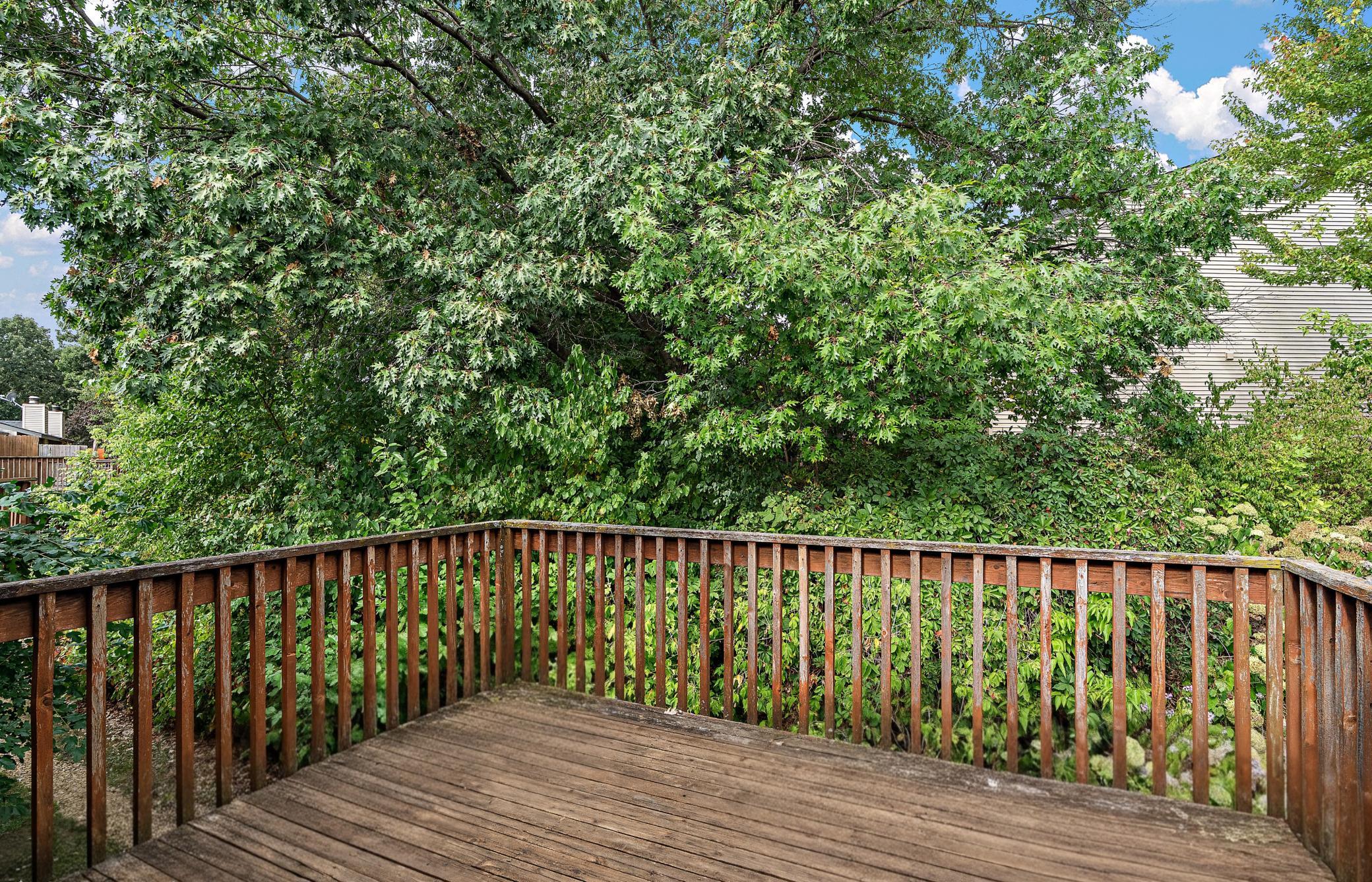 View of Residential at 408 Pleasant Drive, Hastings MN 55033, Hastings (6 of 28) - Mike Wilen | Minnesota Team Real Estate