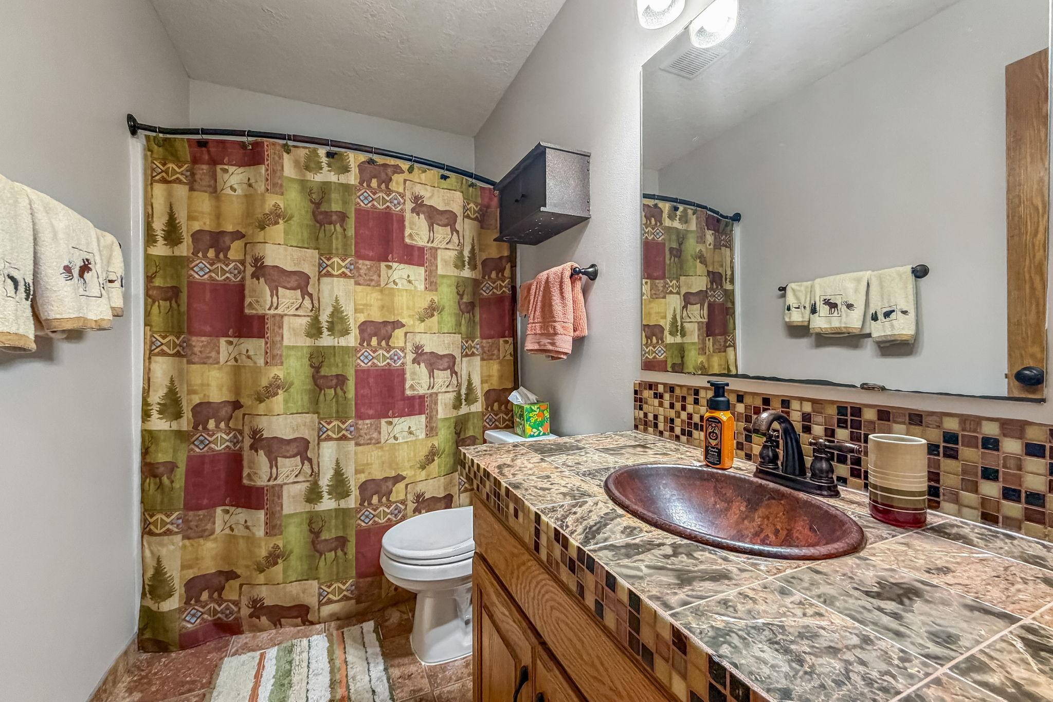 View of Residential at 14927 Harpers Street, Ham Lake MN 55304, Ham Lake (22 of 57) - Mike Wilen | Minnesota Team Real Estate