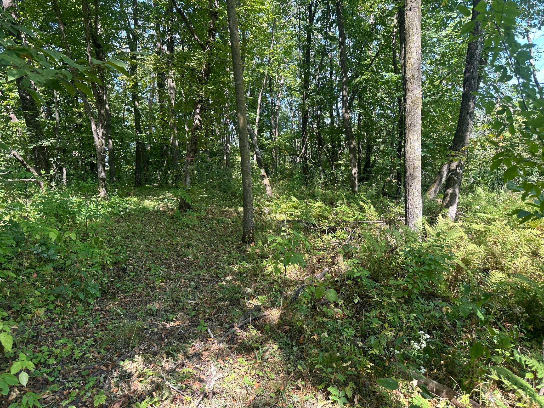 View of Residential at 19955 Jeffrey Avenue, Forest Lake MN 55025, Forest Lake (30 of 53) - Mike Wilen | Minnesota Team Real Estate