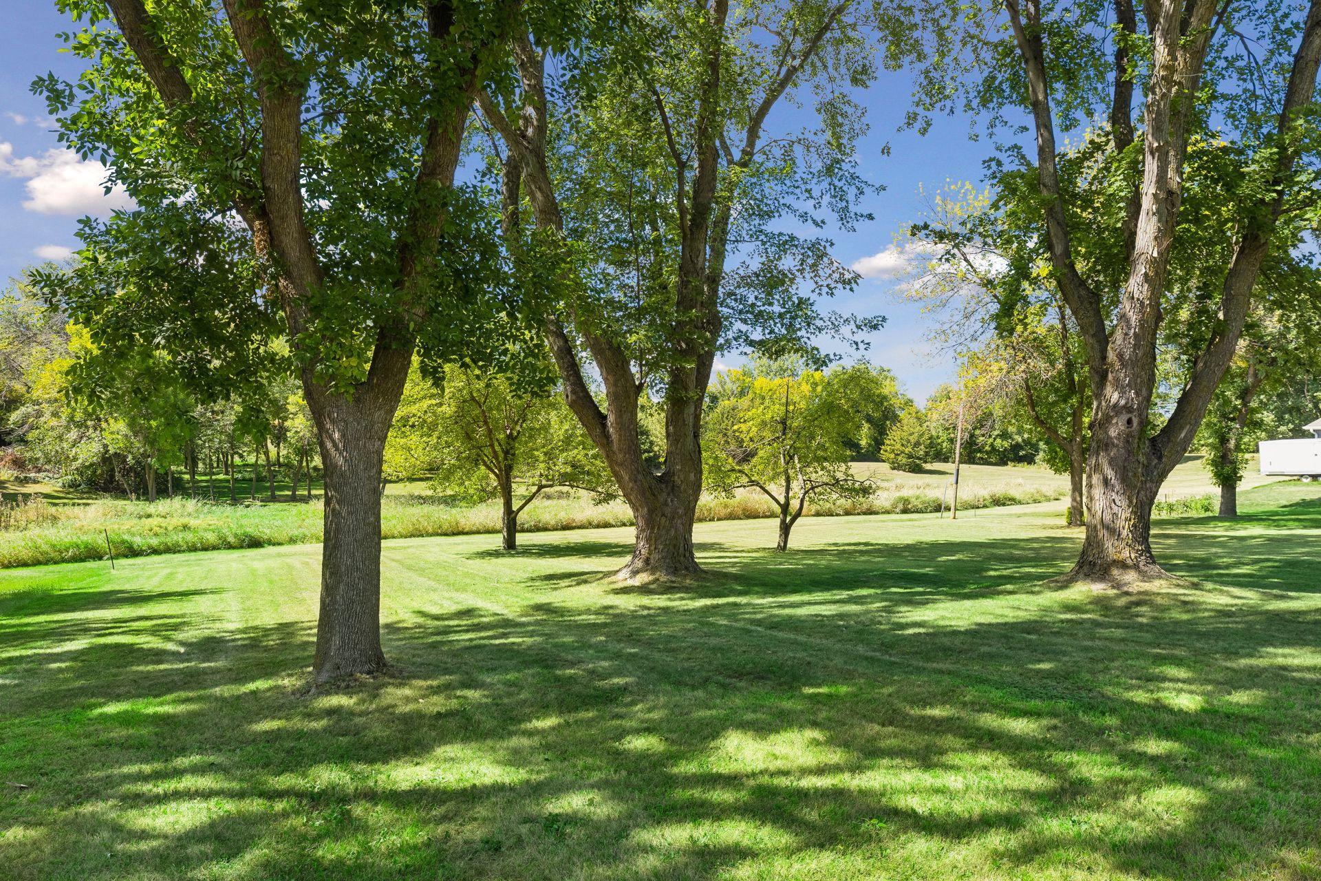 View of Residential at 8887 Reitz Lake Road, Waconia MN 55387, Waconia (45 of 47) - Mike Wilen | Minnesota Team Real Estate