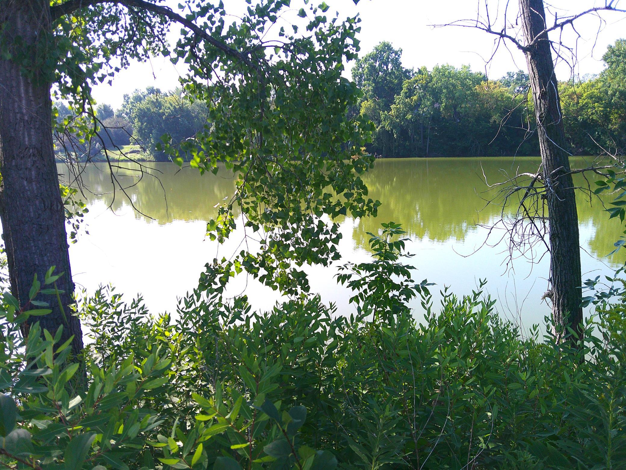 View of Land at 28 Address Unassigned, Golden Valley MN 55427, Golden Valley (9 of 10) - Mike Wilen | Minnesota Team Real Estate