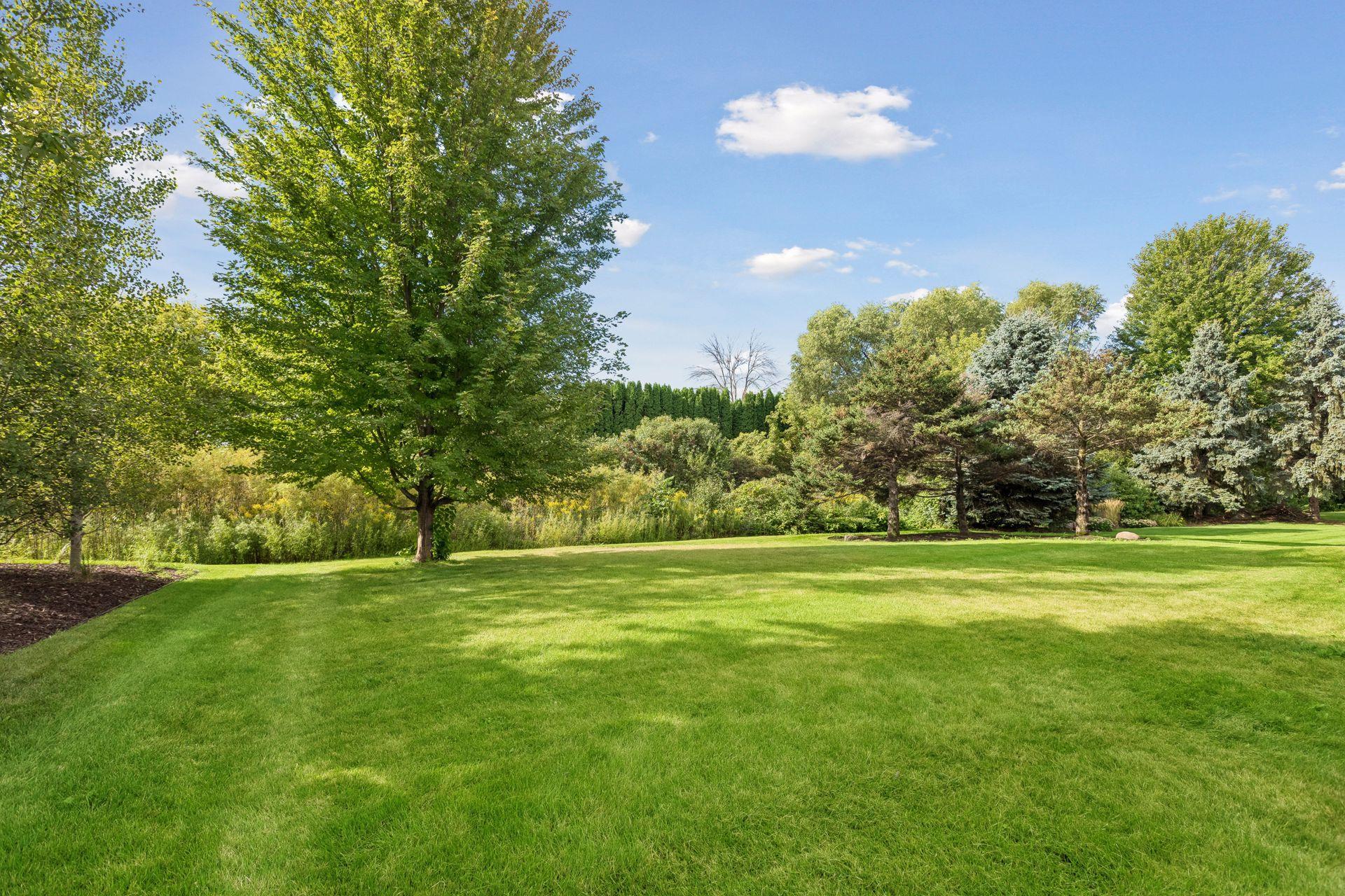View of Residential at 2717 87th Trail, Brooklyn Park MN 55443, Brooklyn Park (50 of 53) - Mike Wilen | Minnesota Team Real Estate