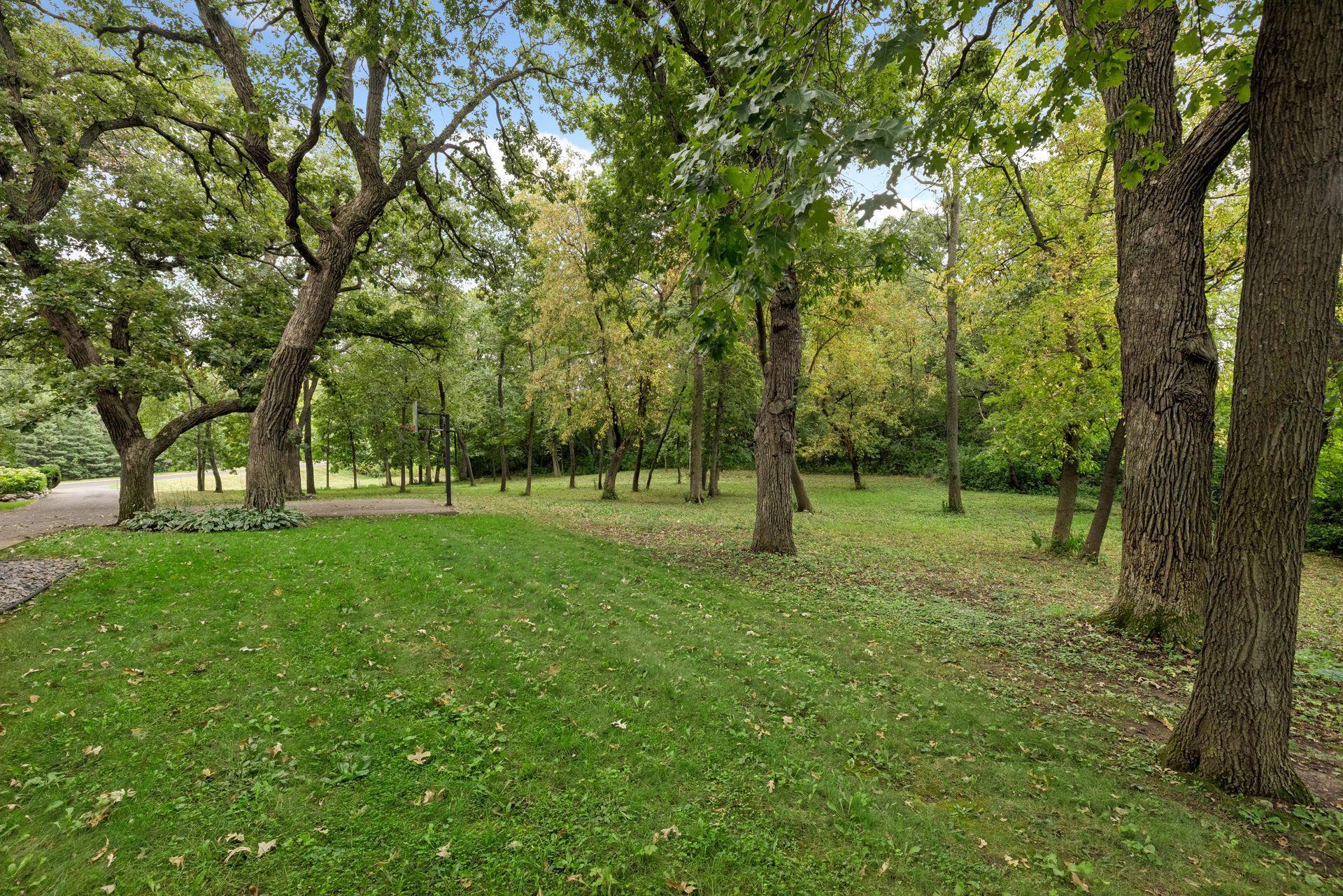 View of Residential at 10805 Alameda Path, Inver Grove Heights MN 55077, Inver Grove Heights (66 of 71) - Mike Wilen | Minnesota Team Real Estate