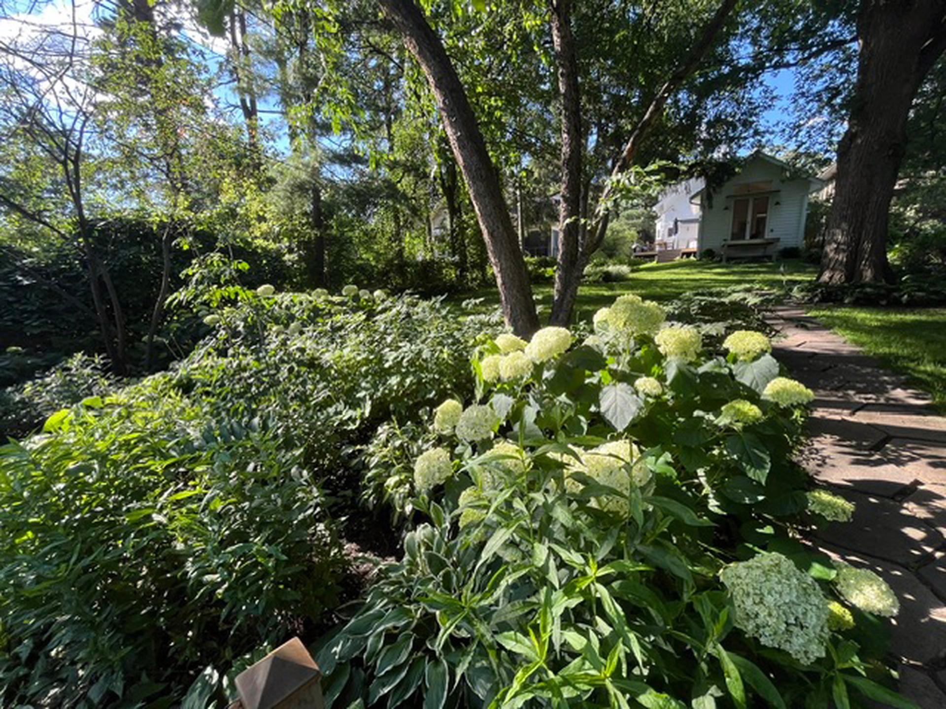 View of Residential at 2194 Dudley Avenue, Saint Paul MN 55108, Saint Paul (47 of 60) - Mike Wilen | Minnesota Team Real Estate