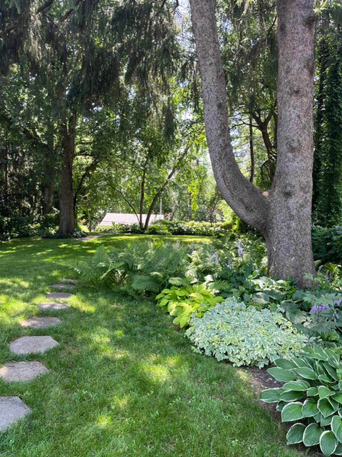 View of Residential at 2194 Dudley Avenue, Saint Paul MN 55108, Saint Paul (45 of 60) - Mike Wilen | Minnesota Team Real Estate